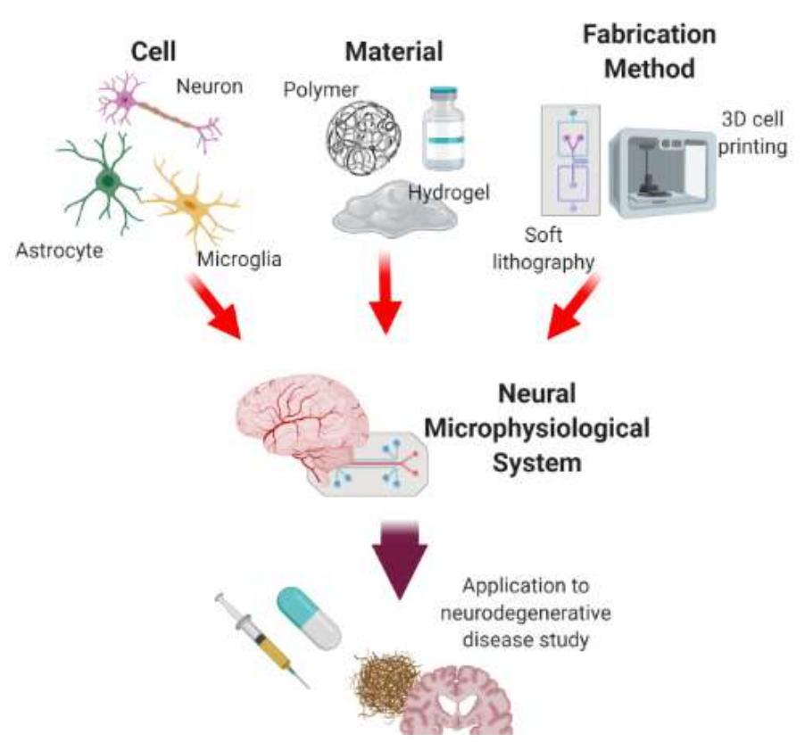 (PDF) Neural Network Applications in Understanding Neurodegenerative ...