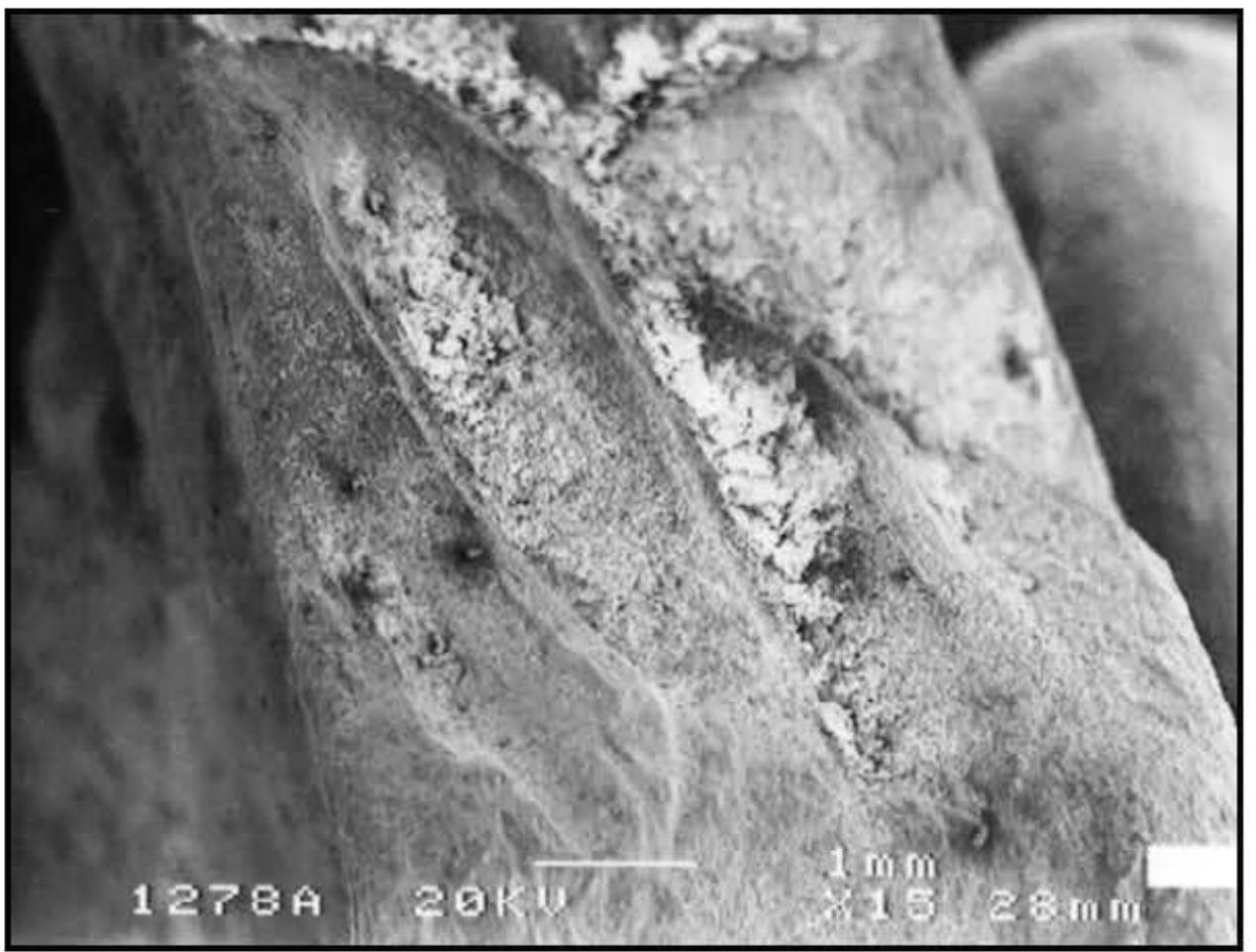 Fig. 22.1. Dark spots on the surface of the limestone mold (No. 7). 