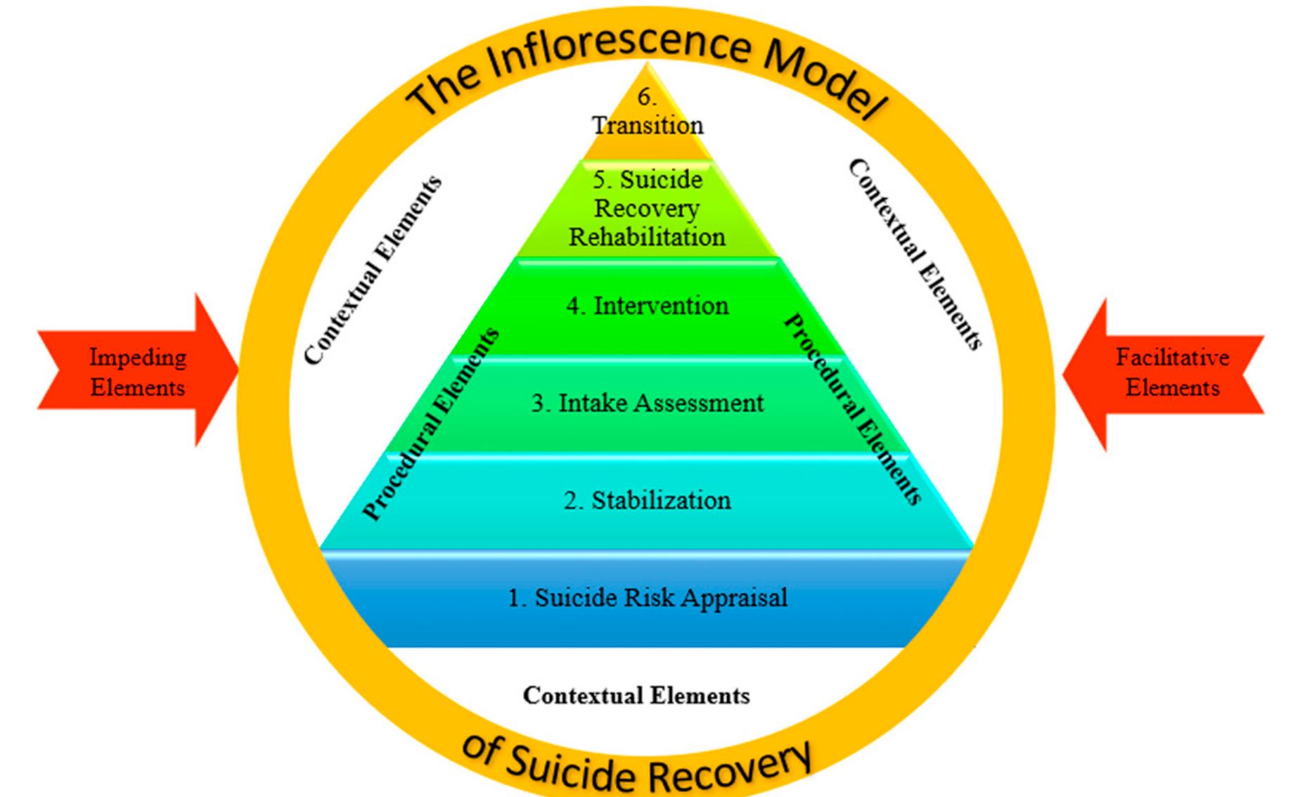 Figure 1. Phenomenological model of the different perspectives on suicide recovery phenomenon. 
