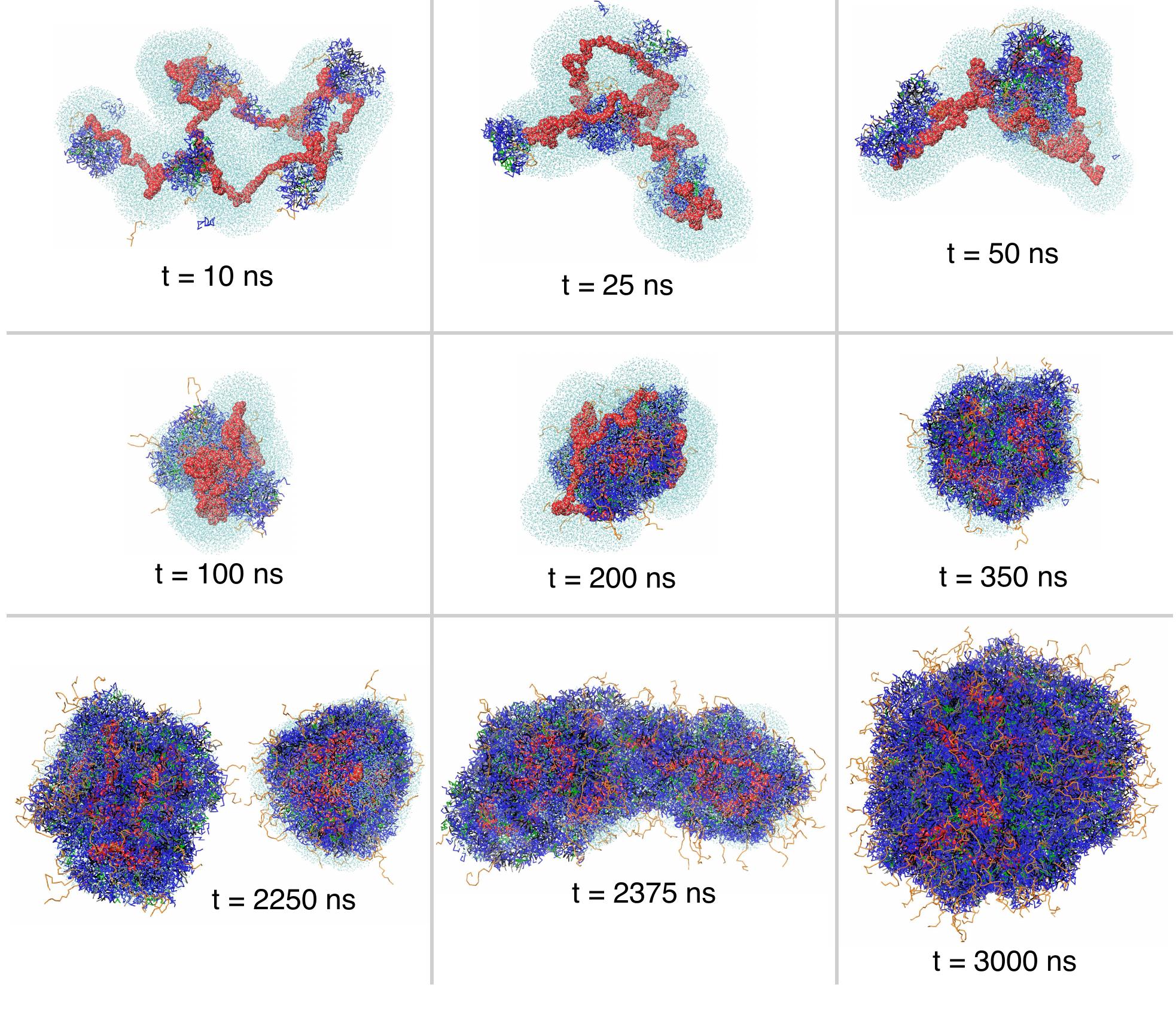 (PDF) Coarse-Grained Simulation of mRNA-Loaded Lipid Nanoparticle Self ...