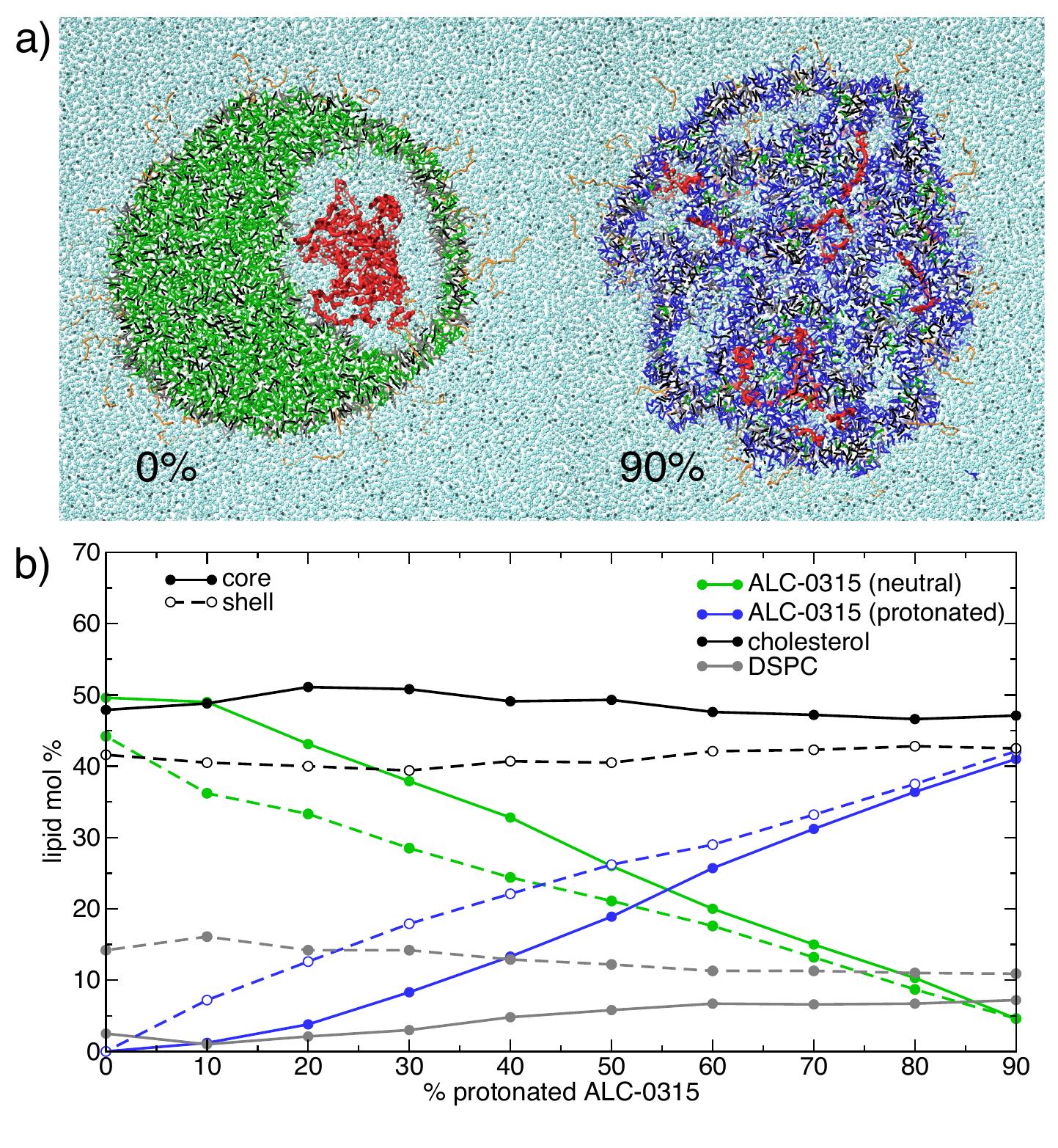 (PDF) Coarse-Grained Simulation of mRNA-Loaded Lipid Nanoparticle Self ...