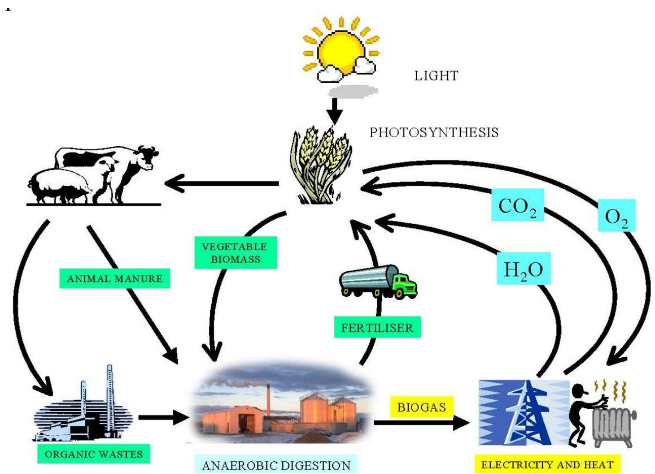 (PDF) Use of biogas to power diesel engines with common rail fuel systems
