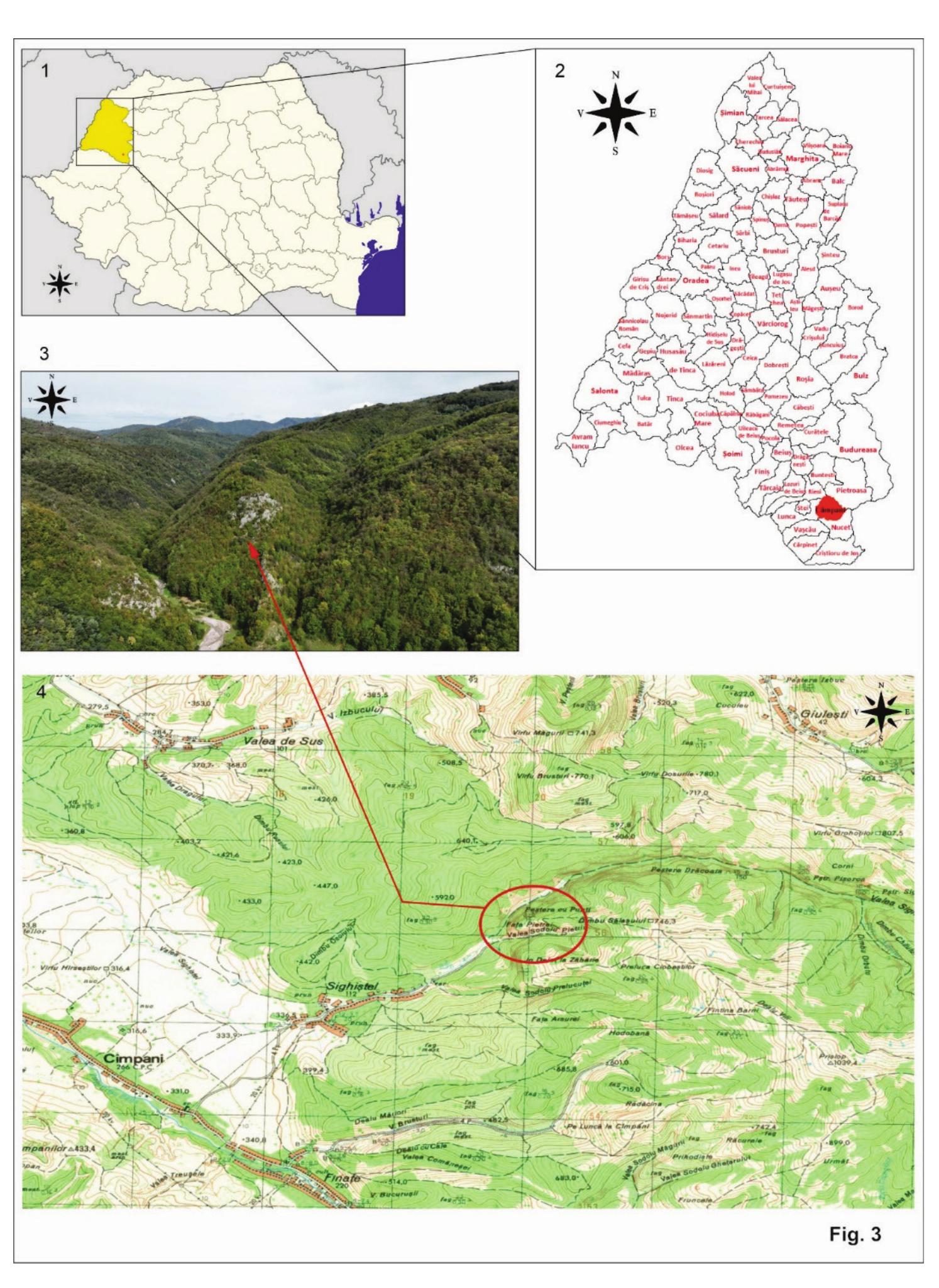The missing link. The sica-type dagger from Sighistel, Bihor  Fig. 3 — Localizarea satului Sighistel, jud. Bihor, $i a promontoriului numit Fata Pietrii. / Location of Sighistel village, Bihor County, and the promontory called Fata Pietrii. 