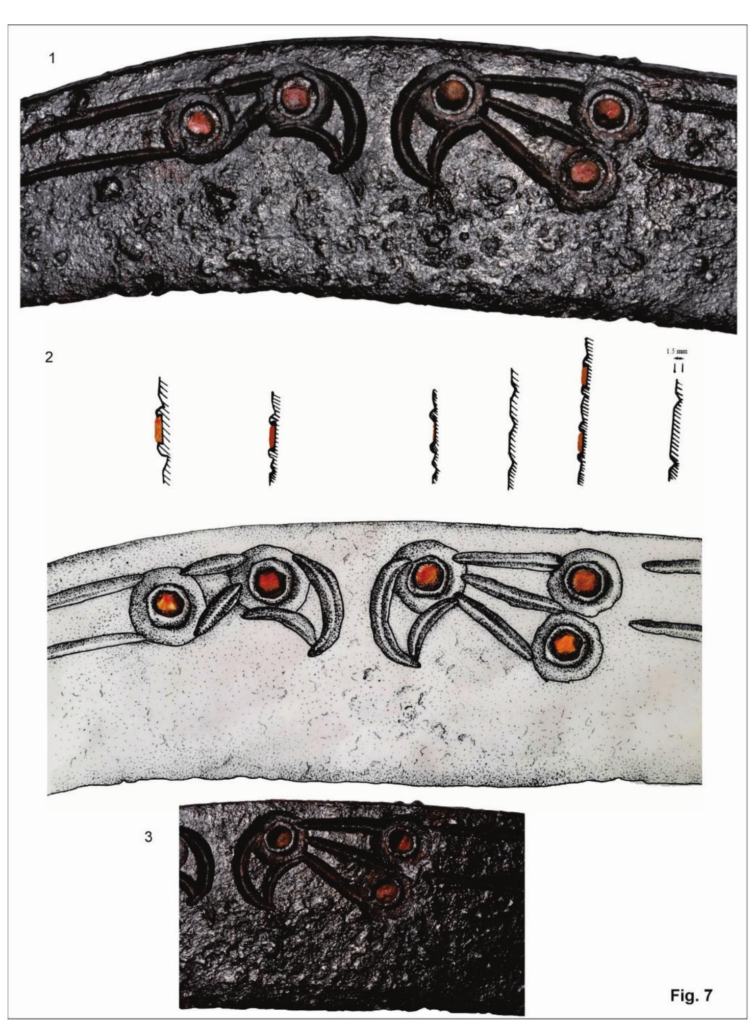 The missing link. The sica-type dagger from Sighistel, Bihor 