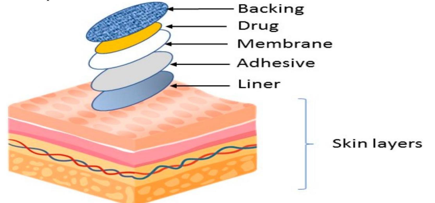 Transdermal Patch Development (PDF) DEVELOPMENT AND CHARACTERIZATION OF NIOSOMAL TRANSDERMAL PATCHES ...
