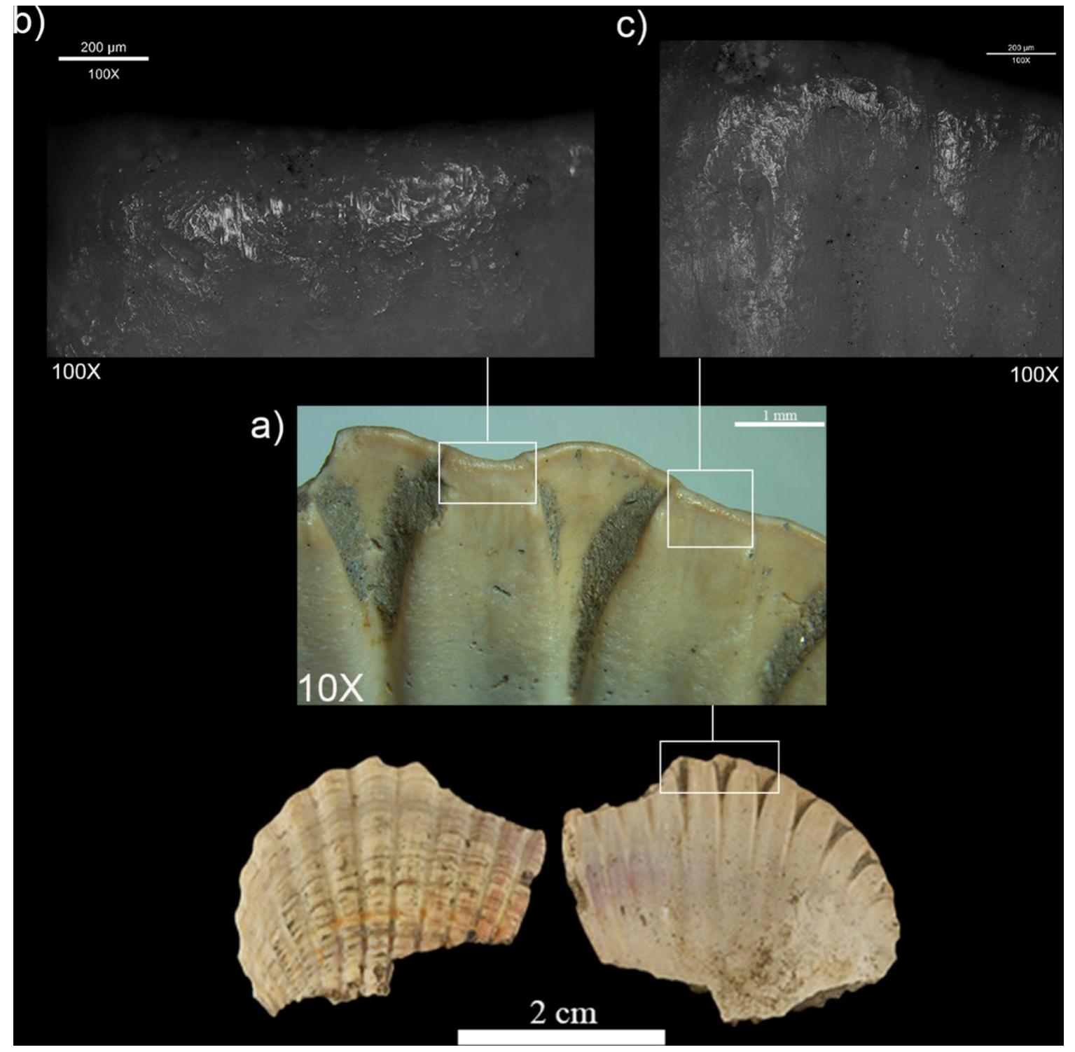 Cuenca-solana et al. 2015) have allowed us to interpret the