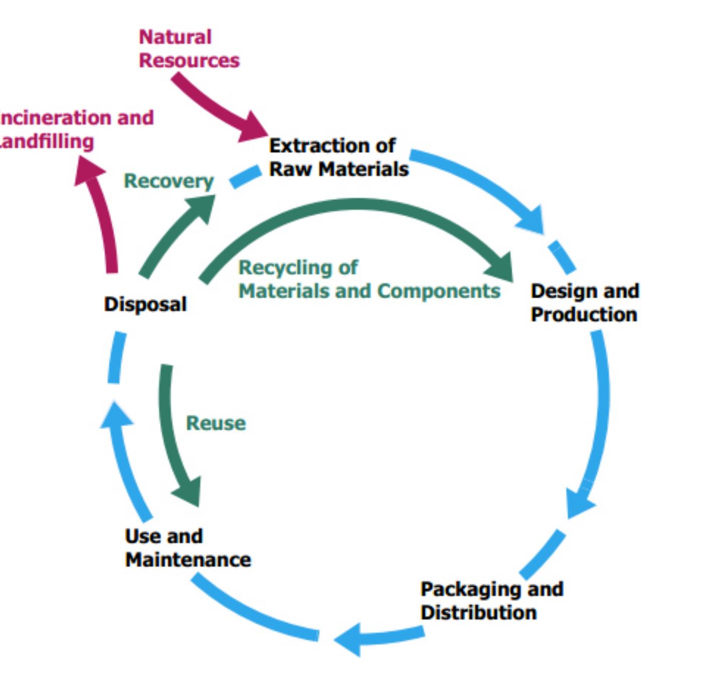 Figure 4: The Product Life Cycle as developed by the United Nations Environmental Program (Remmen,  life of an apparel product creates challenges in implementing sustainability initiatives and actions.  control over the rest of the life cycle. This lack of influence and control over the two opposite ends of the 