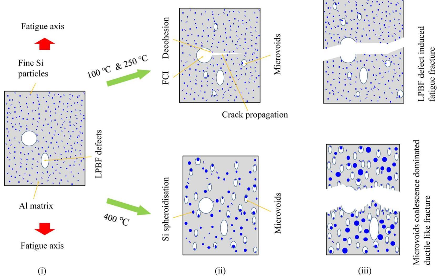 Schematic representations of lcf fracture mechanisms of the