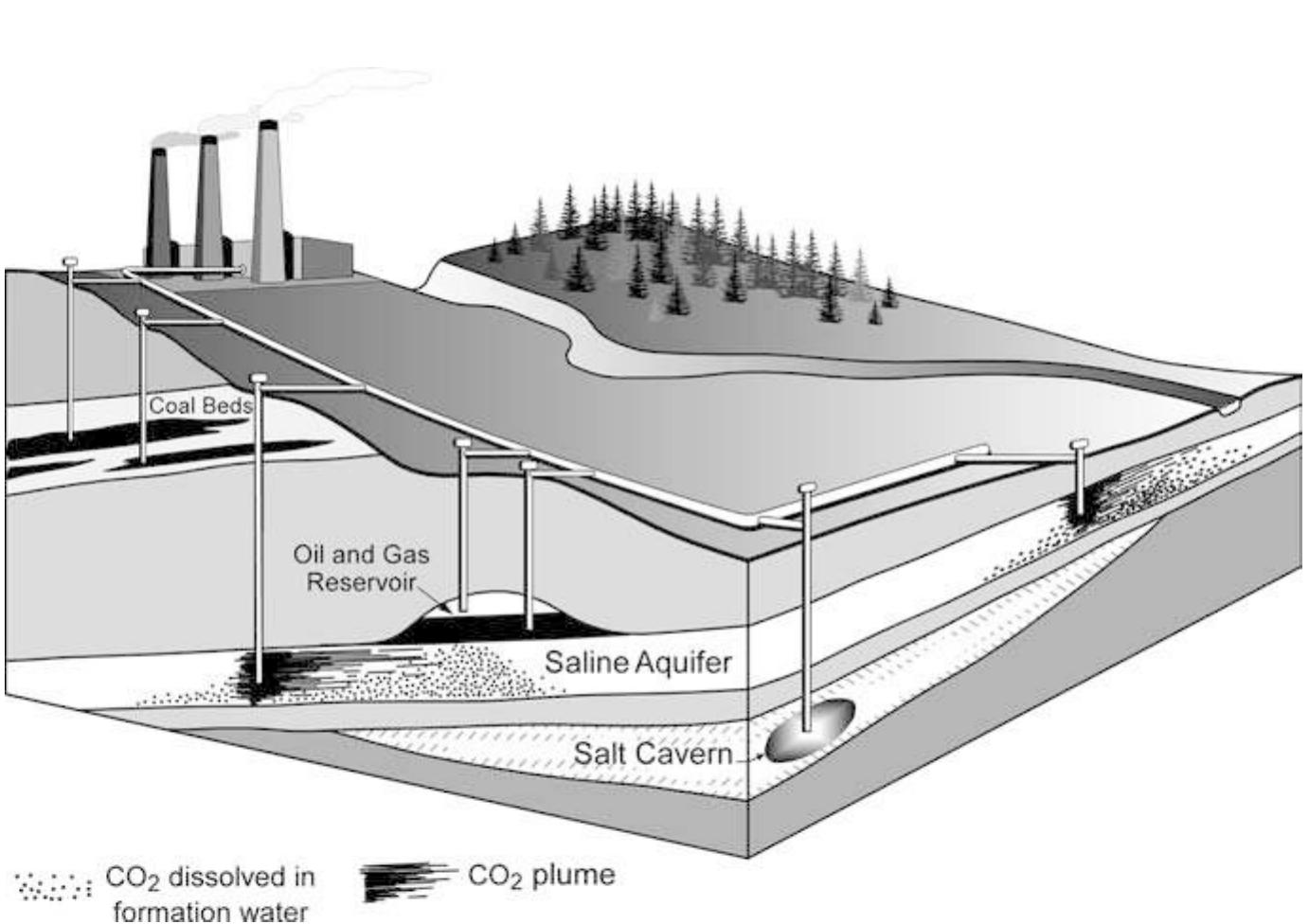Only sedimentary basins contain geological media gener- ally