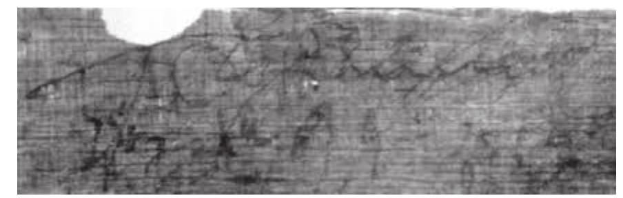 and then, in the following line towards the bottom right, once again:  On the verso, aside from the tachygraphic signs (mentioned by Maspero), there are words and names that remained untranscribed. In the series of lines starting with a cross-sign (witness subscriptions written in tachygraphic signs?), after the last preserved cross towards the bottom left, one reads the name DoiBduLev: 