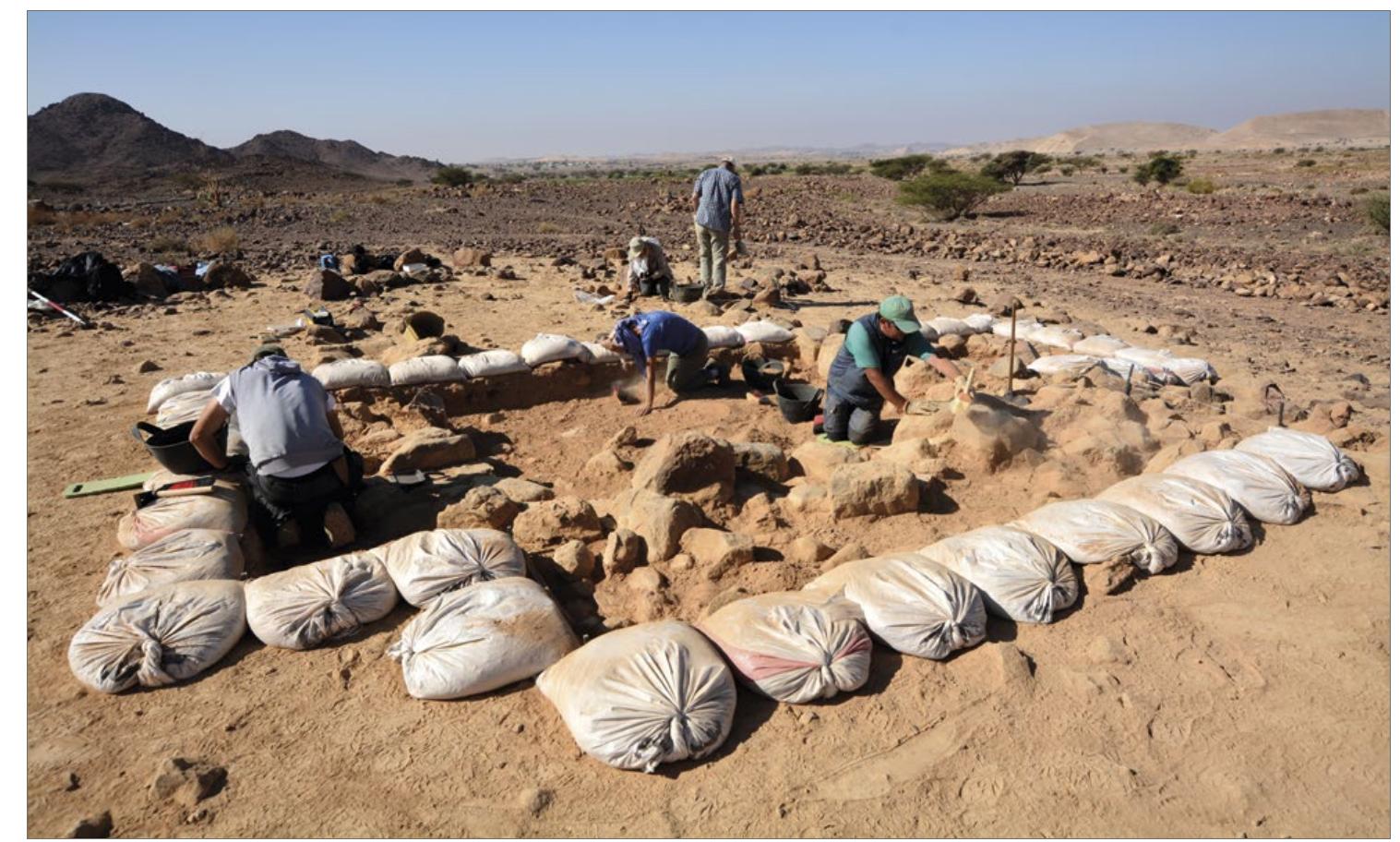 Fig. 18. Wadi Faynan 731. Excavation works in progress during the 2021 season (Photo P. Kotodziejczyk)