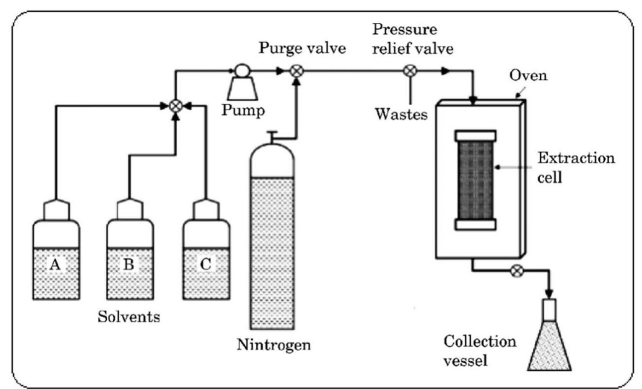 Figure 1 - from Sphamandla et al plants