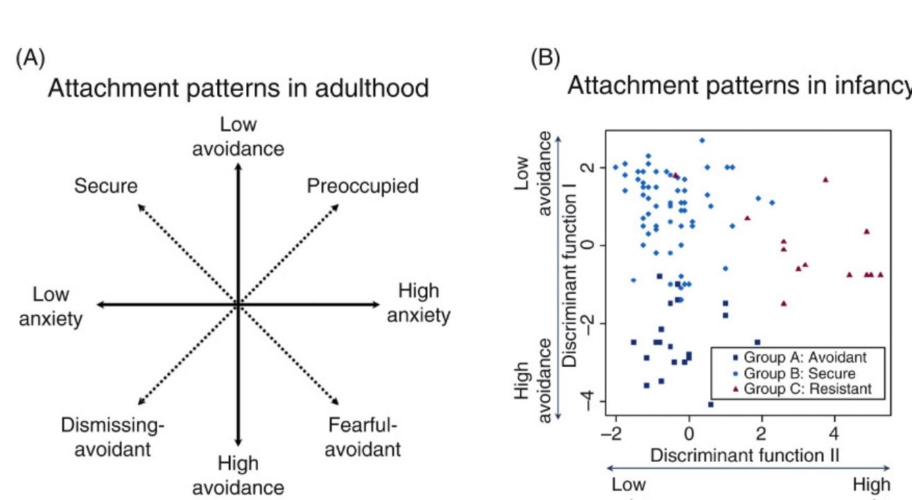 (PDF) Adult Attachment: A Concise Introduction to Theory and Research