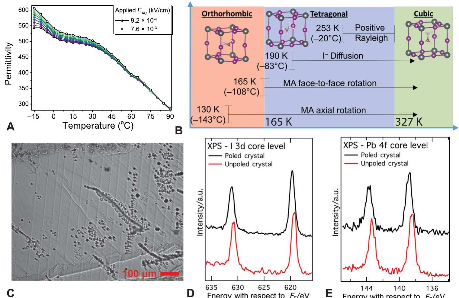 (PDF) The existence and impact of persistent ferroelectric domains in ...
