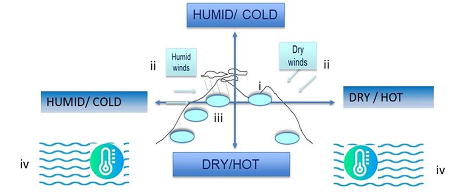 Schematic representation of a northeast (left side of the