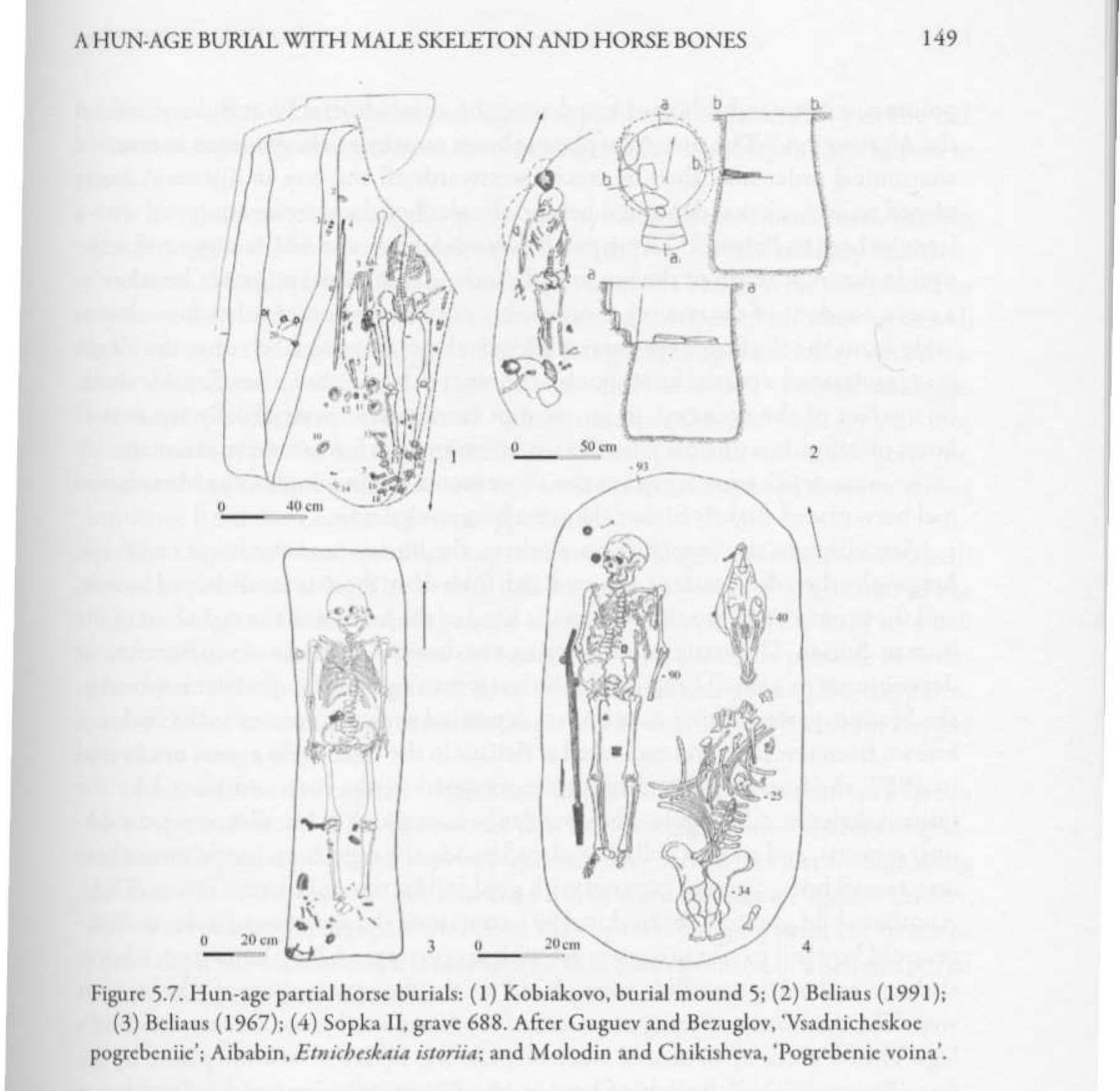 (PDF) A Hun-Age Burial with Male Skeleton and Horse Bones Found in ...