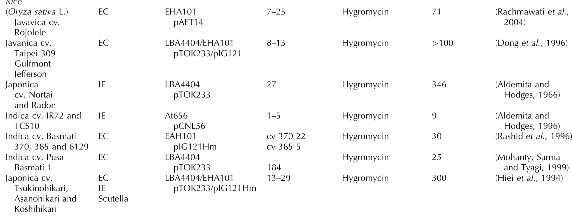 PDF) The Production of Long‐Chain Polyunsaturated Fatty Acids in