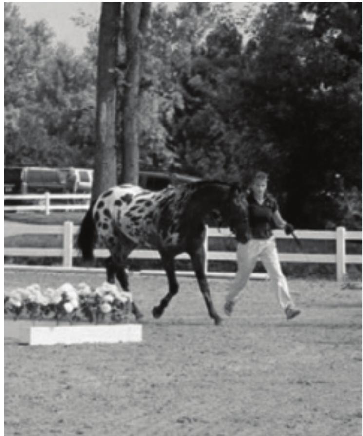 Kiyinish xonasida sargish bilan porno