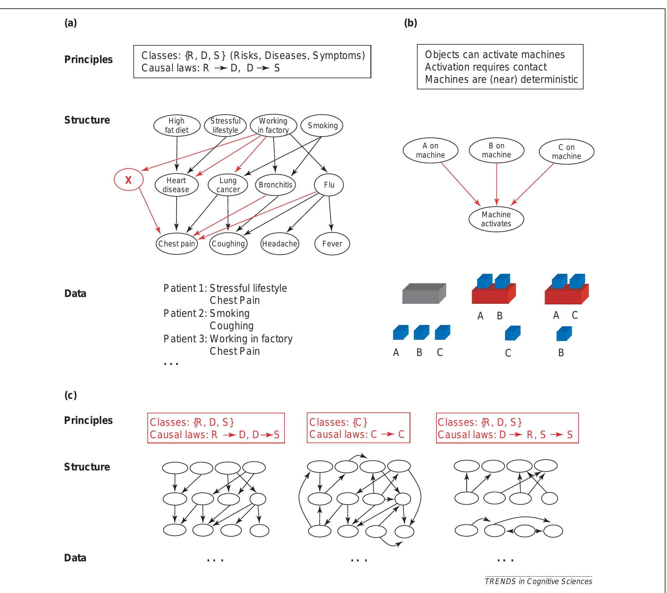 (PDF) Theory-based Bayesian models of inductive learning and reasoning