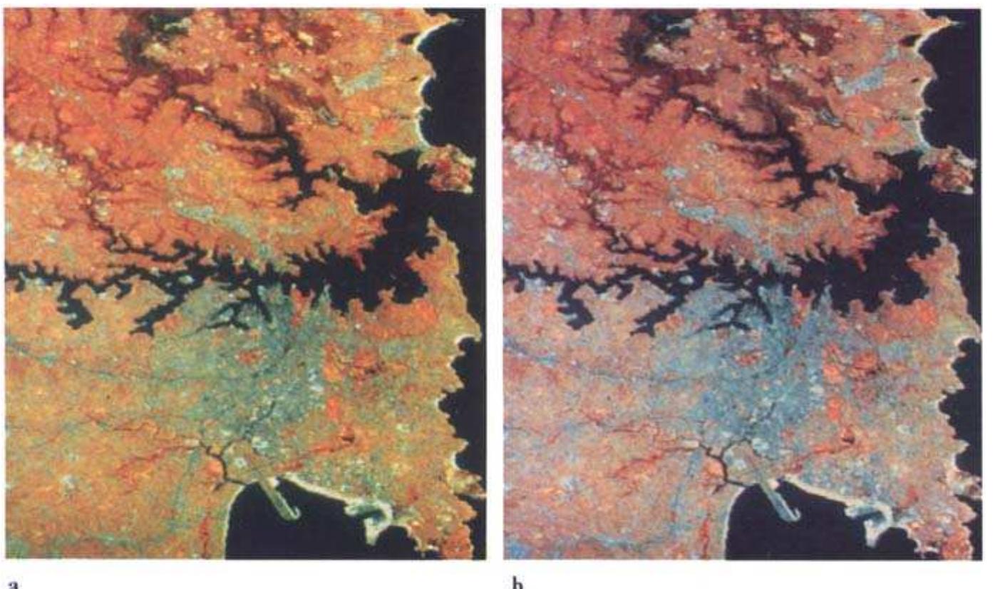 (PDF) Remote Sensing Digital Image Analysis