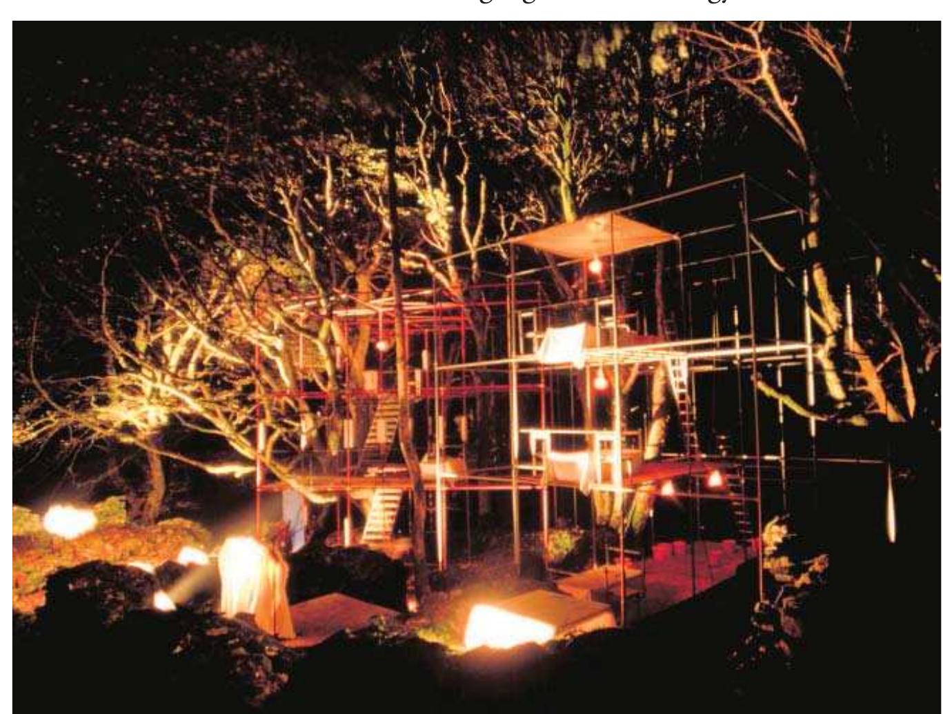 We needn't look only to the contemporary visual and performing arts for a critique of photorealistic mimesis. The impact of Foucauldian notions of discourse and the growth of the interdisciplinary field of media studies has resulted in a substantial body of critical reflection upon representations in archaeology (Clack and Brittain 2007; Joyce 2002; Molyneaux 1997; Smiles and Moser 2005). For instance, Moser (2001) has brought discourse analysis to the visual conventions or visual language of archaeology. Clack and Brit- 