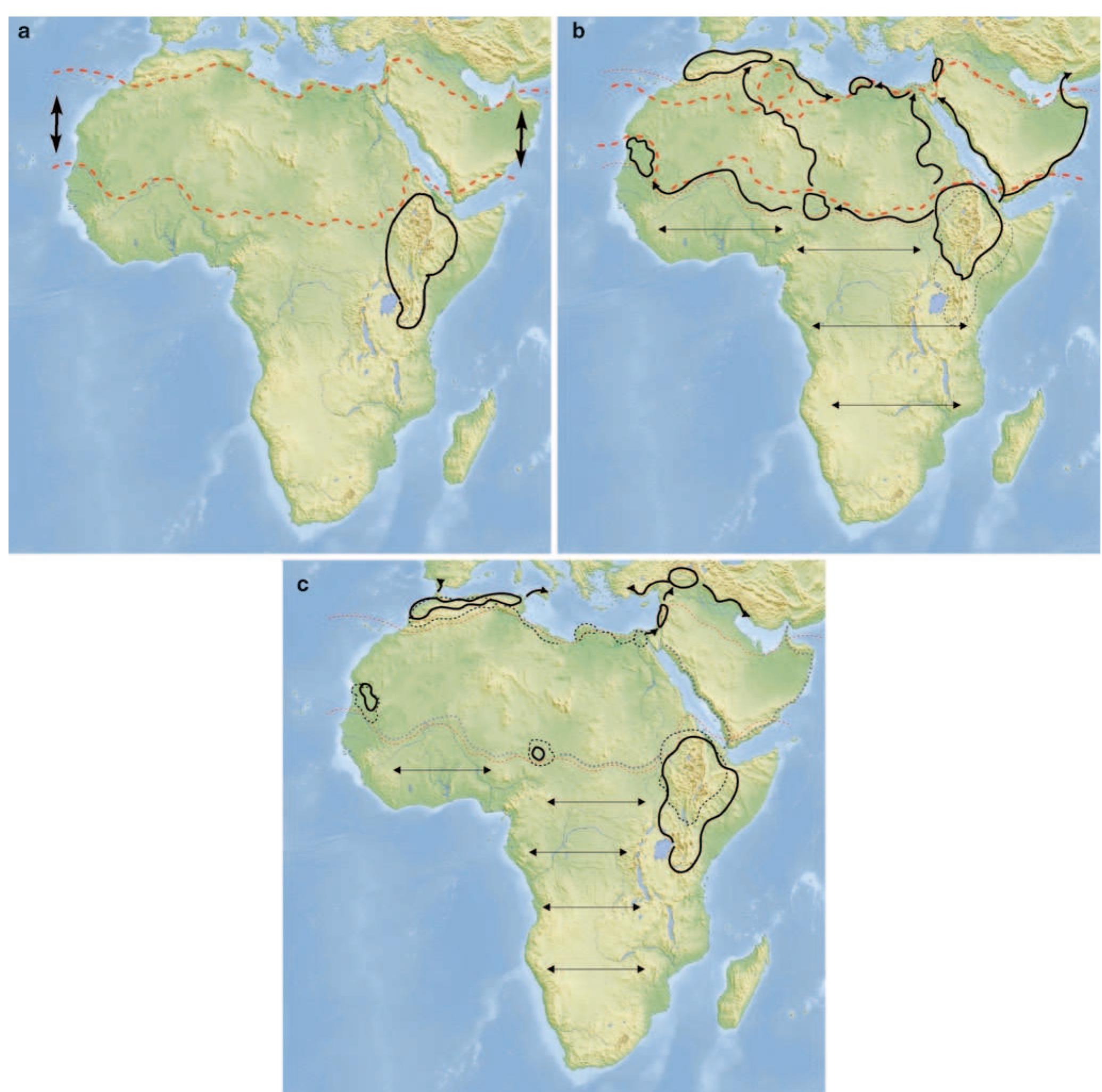 Figure 3 - from Saharan Corridors and Their Role in the
