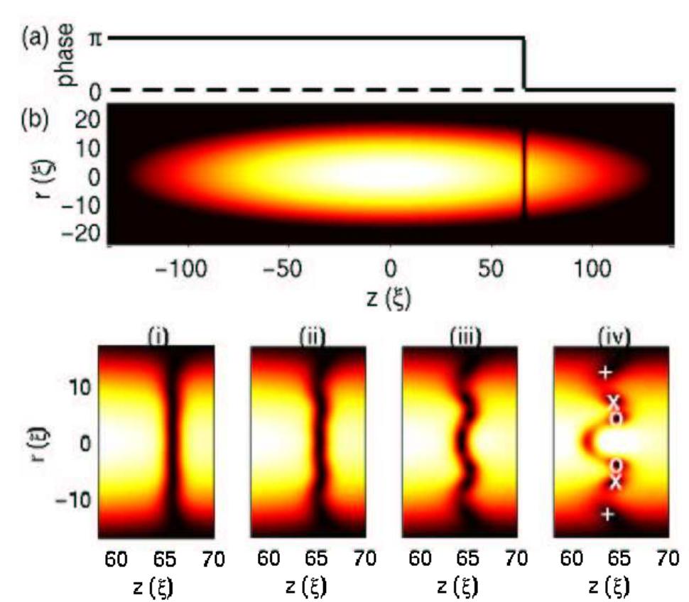 Figure 4 - from Dark soliton dynamics in confined