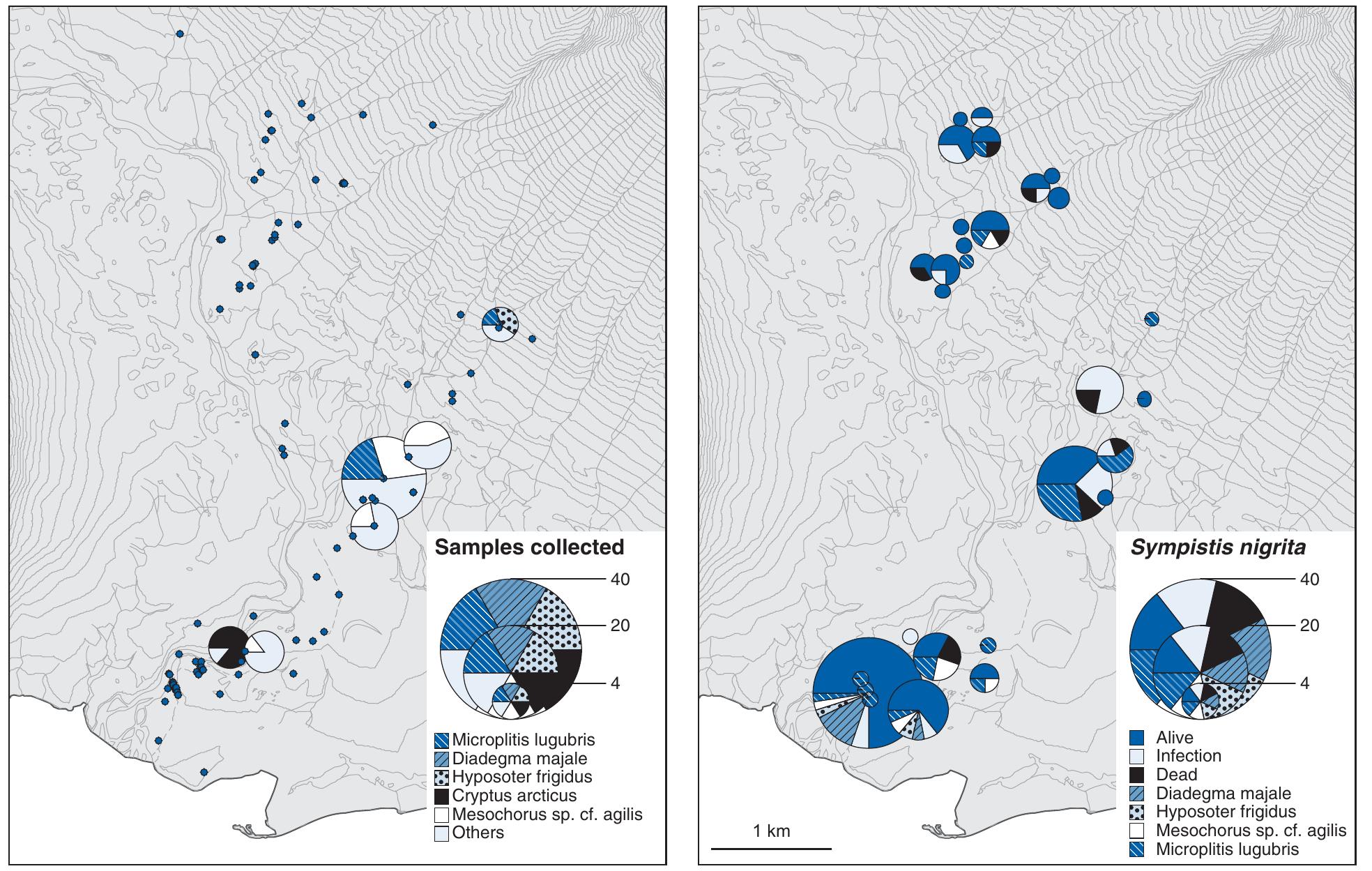 Environmental Sampling Map 17 summary maps of sampling conducted in 2009. the left-hand