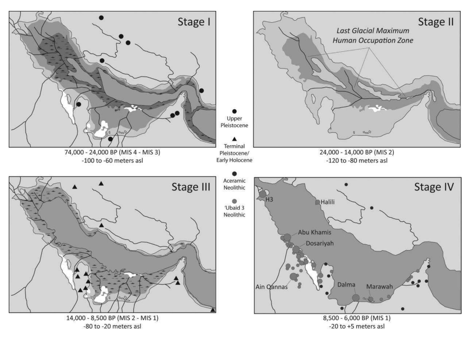 Figure 5. Paleoshoreline configuration, drainage systems, and archaeo- logical sites around the Arabo-Persian Gulf basin during the Late Pleis- tocene and Early Holocene. The position of the shoreline during these intervals is based on Lambeck (1996, fig. 7), and the drainage channels are taken from Zarins (1998, fig. 1). Sources for archaeological site dis- tributions: Carter (2006, forthcoming); Charpentier (2008); Conard et al. (2005); Kapel (1967); Rosenberg (1985); Uerpmann, Potts, and Uerp- mann (2009).  Rose Human Prehistory in the Arabo-Persian Gulf Oasis 