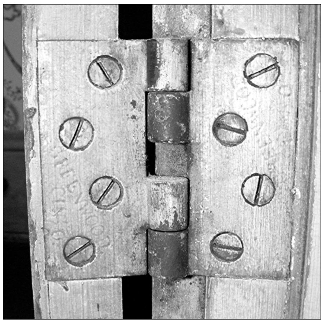 Figure 6.20. Cast iron butt hinge marked “GREENWOOD, CIN O.” from the Moore-Y ouse Home, Muncie, Indiana. Source: Photograph by author. 