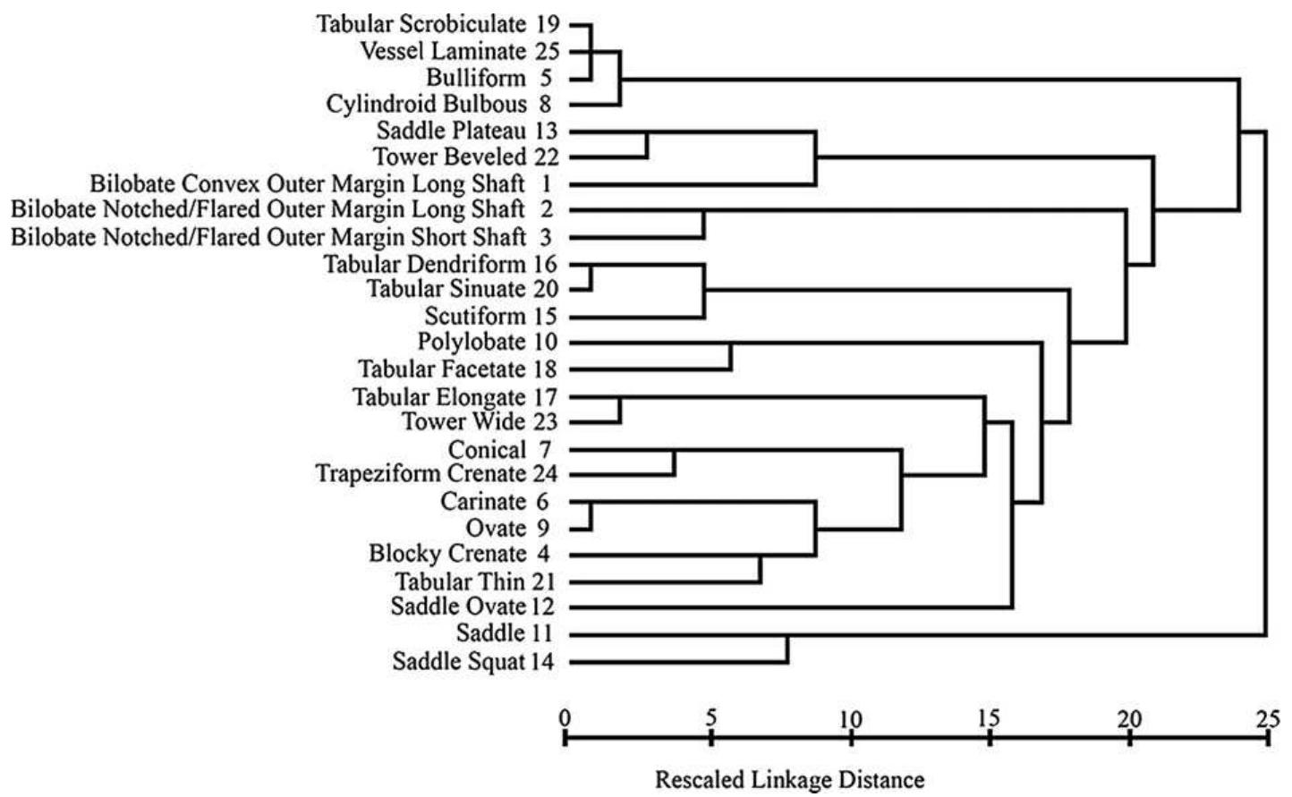 Hierarchical cluster analysis by spss 15: dendrogram