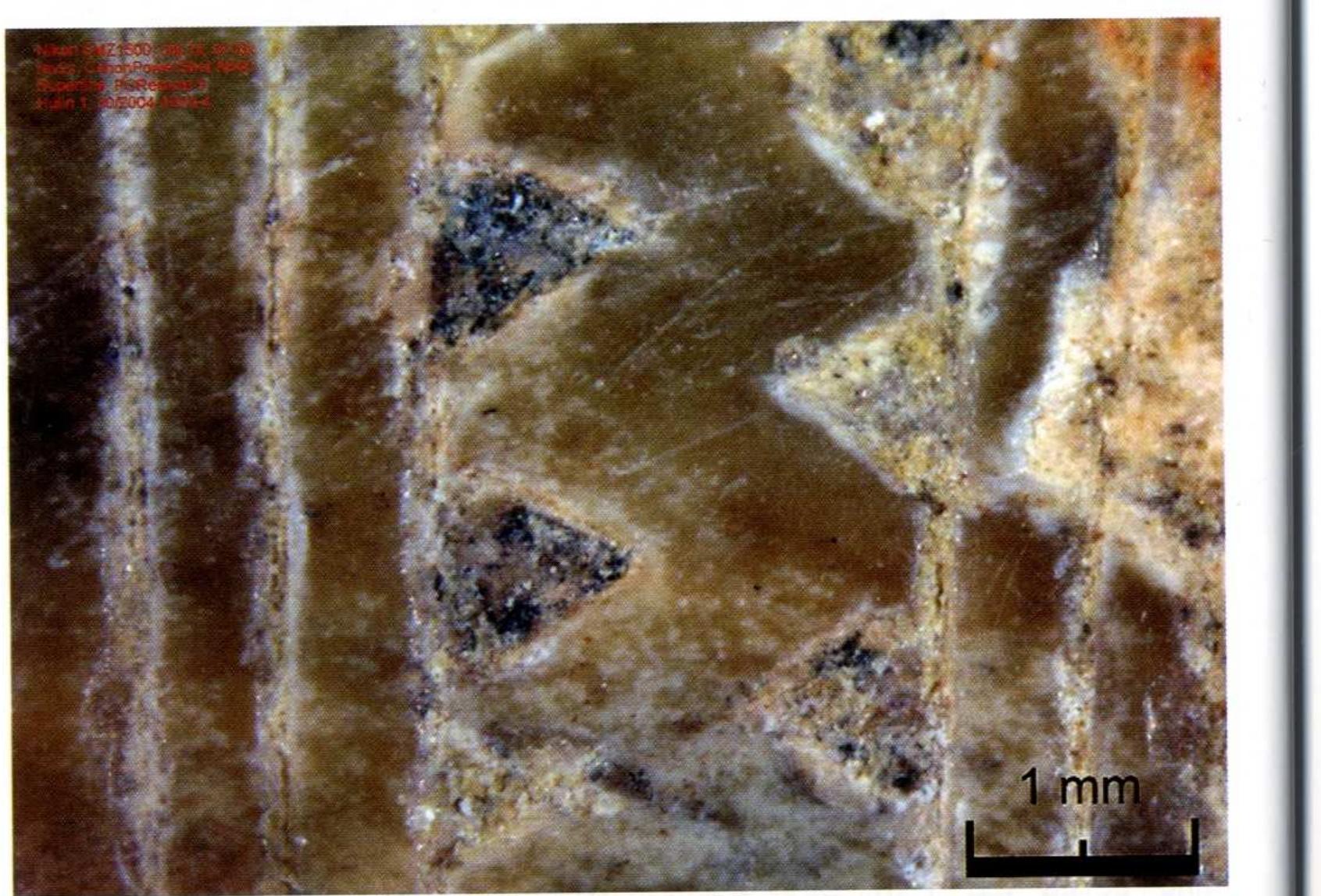 Ornamentation of pendants is very interesting. As we have already said, the artifacts from Hulin I feature two types of decorative motifs. The first one is a composition of transversal grooves and hanging triangles. Pendants with motifs of the second type show matt stripes impressed or itched on the surface. In the first case our research confirmed the presence in a black incrustation in the engraved lines, covered by a thin film of calcite precipitated from soil (Fig. 17). Moreover, a coloring substance was visible on the surface. We do not know whether it was a dye purposely applied rather a resulted of the contact with soil. Decorative motifs of the second type (matt stripes) might have been also covered by a coloring substance. Fig. 17. Black incrustation in an engraved ornamentation