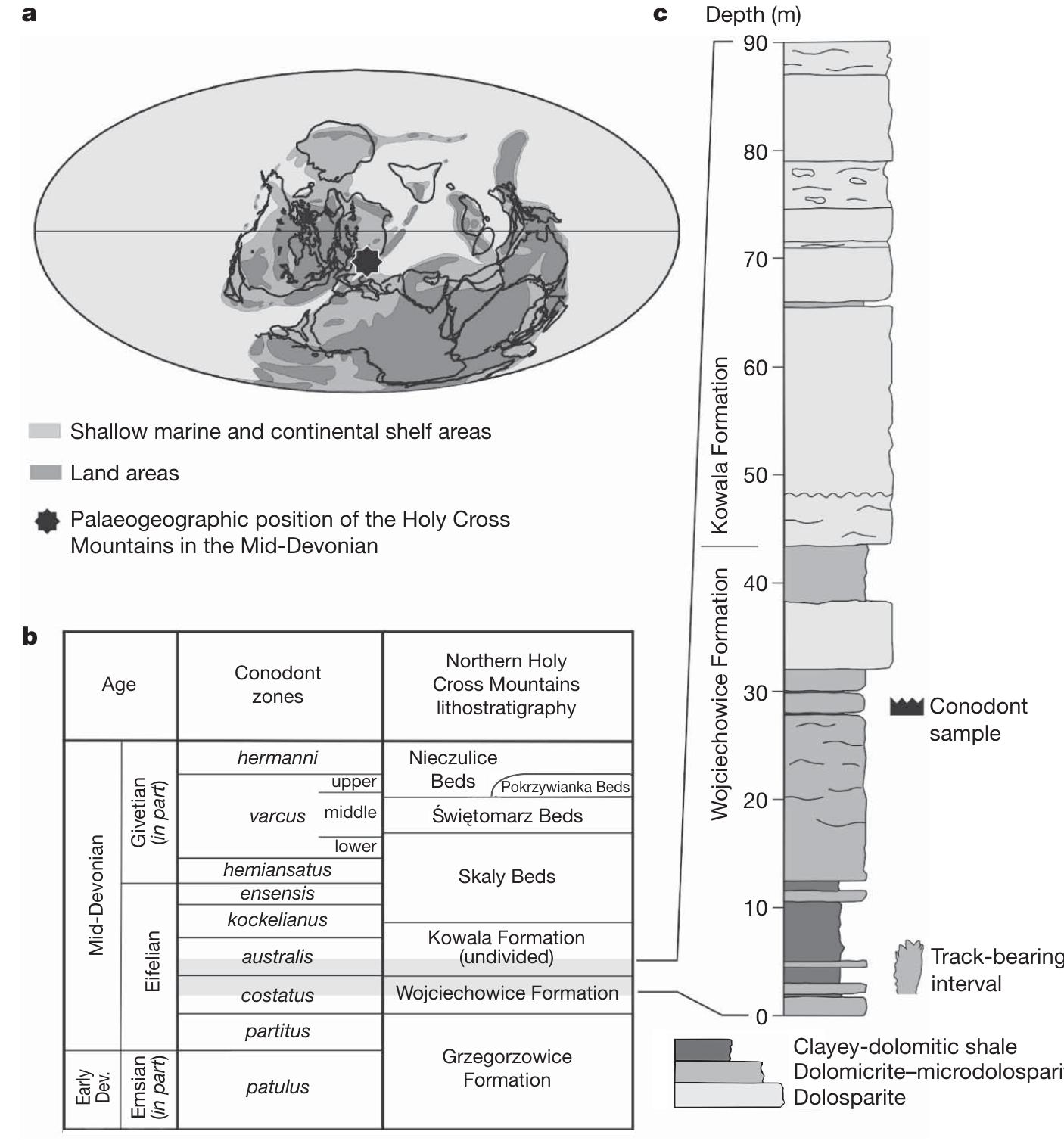 Figure 1| The locality. a, Palaeogeographic position of the Holy Cross Mountains during Middle Devonian (map from ref. 50). b, Middle Devonian lithostratigraphy of the northern Holy Cross Mountains. ¢, Zachelmie quarry section showing locations of trackway horizon and costatus Zone conodont sample.