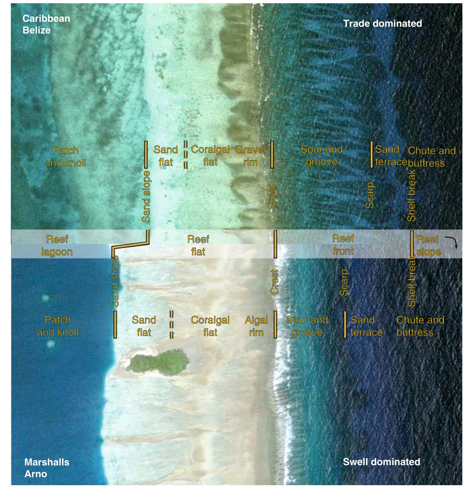 Figure 1 - from Geomorphic Zonation of Coral Reefs: