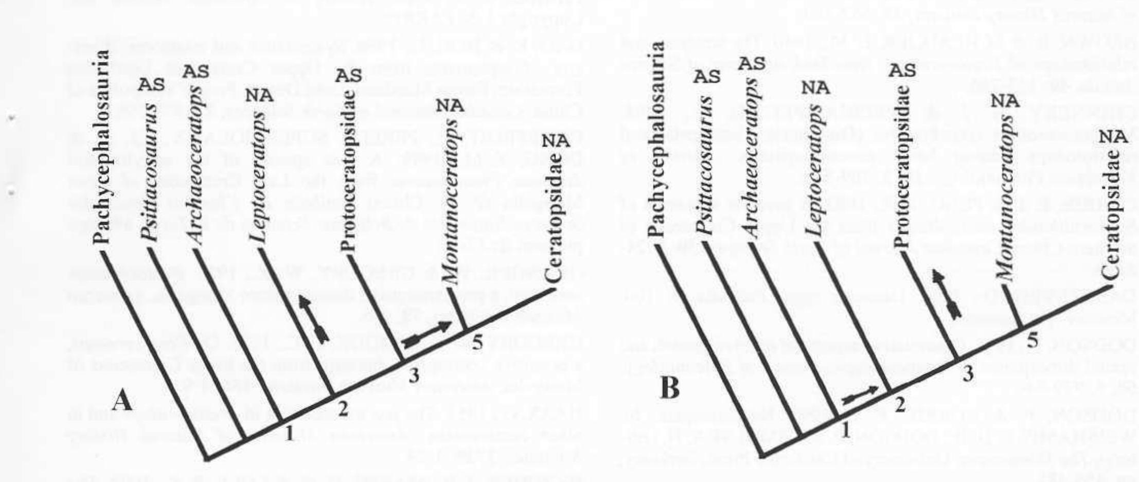 Bascal Clade Figure 12 - A New Species of Protoceratops (Dinosauria,
