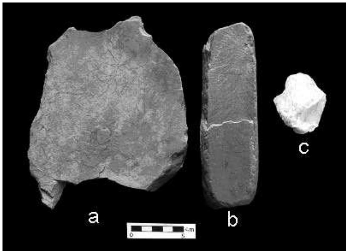 7 - some of the artifacts recovered from the magaguadavic
