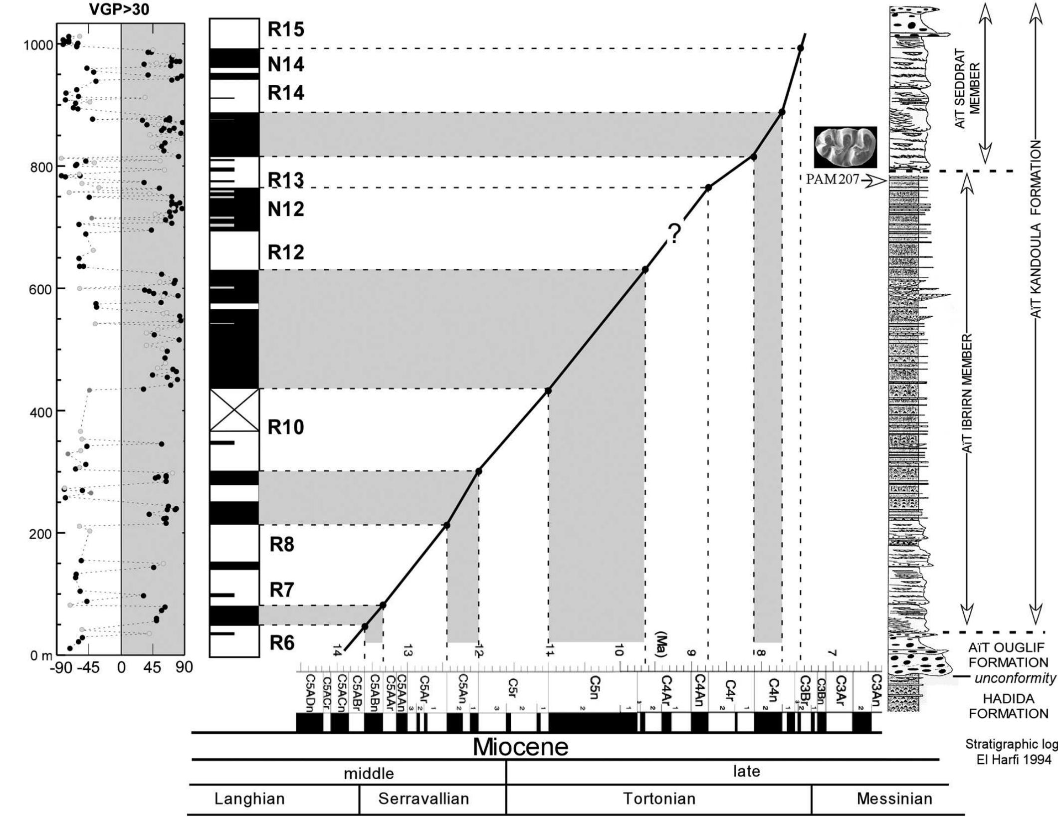 Magnetostratigraphy and stratigraphic position of sampling