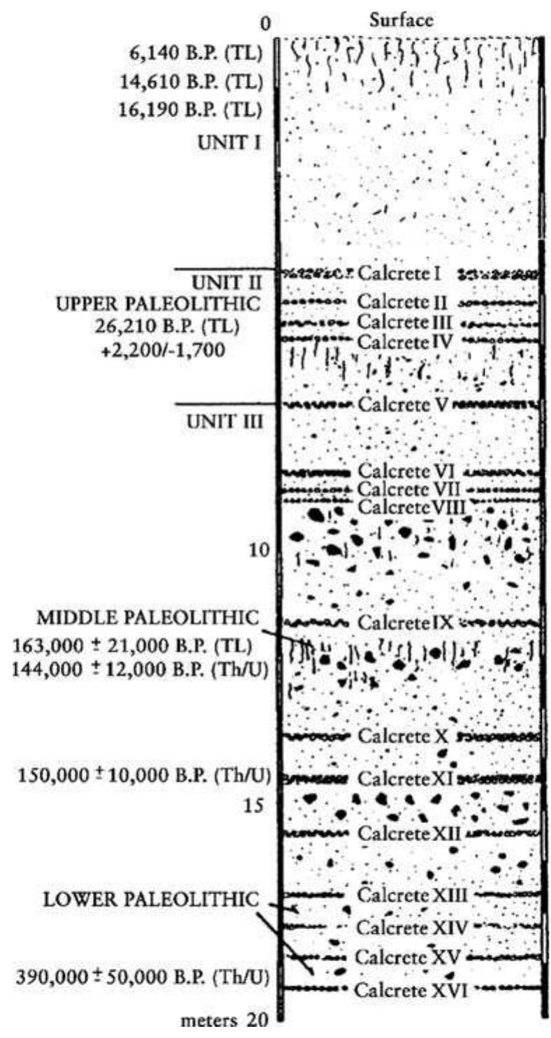Fig. 2 The stratigraphic profile, archaeological horizons, and associated dates from the 16R dune at Didwana, Rajasthan (after Misra 1989) 
