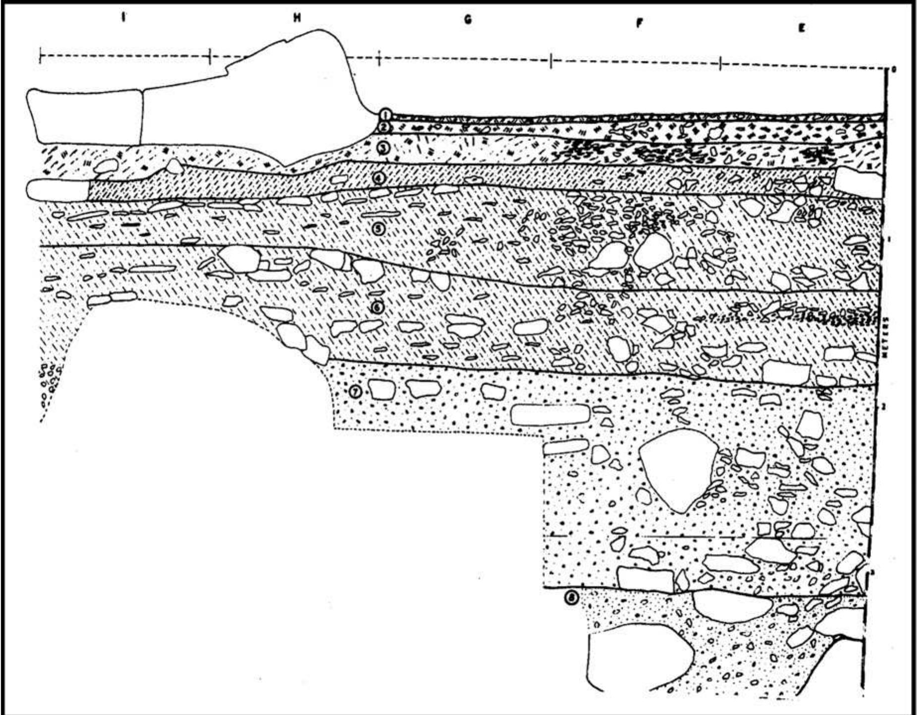 Fig. 4 The stratigraphic profile of Bhimbetka rock-shelter IIF-23 (after Misra 1978)  Some of the best-known Late Acheulean assem- blages in north-central India come from Bhimbetka (Misra 1978), where hundreds of rock-shelters (many with rock paintings) are situated in a hilly and forested area in Madhya Pradesh. Wakanker (1973) initially proposed that the Acheulean hori- zon at one of the excavated rock-shelters was under- lain by a “pebble-tool” horizon, both being sepa- rated by a sterile layer, implying possible technological progression between the two tradi- tions. However, subsequent excavations by Misra (1985) at Shelter II F-23 did not support Wakan- ker’s claims for a pre-Acheulean industry in this area. Three trenches in a cave (III-F-24) yielded a  3.8 meter Lower and Middle Paleolithic sequence as well as Mesolithic material at the top (Fig. 4). The palaeoanthropological record of the island country of Sri Lanka is comparatively less well known, but has a significant bearing on the evolution of modern humans in the subcontinent (Kennedy 1999). Some of the most well-preserved South Asian fossils of modern Homo sapiens come from various cave deposits in Sri Lanka such as Fa Hien Cave. Renewed paleoanthropological research is critically required, however, to identify and date the earliest occupation in this region, which currently appears to be no older than 30 ka. The Ratnapura region in the southwestern wet lowlands (Deraniyagala PEP 1953; Deraniyagala SU 1992) has yielded quartz and quartzite lithic artifacts, but these remain undated and ambiguous. 