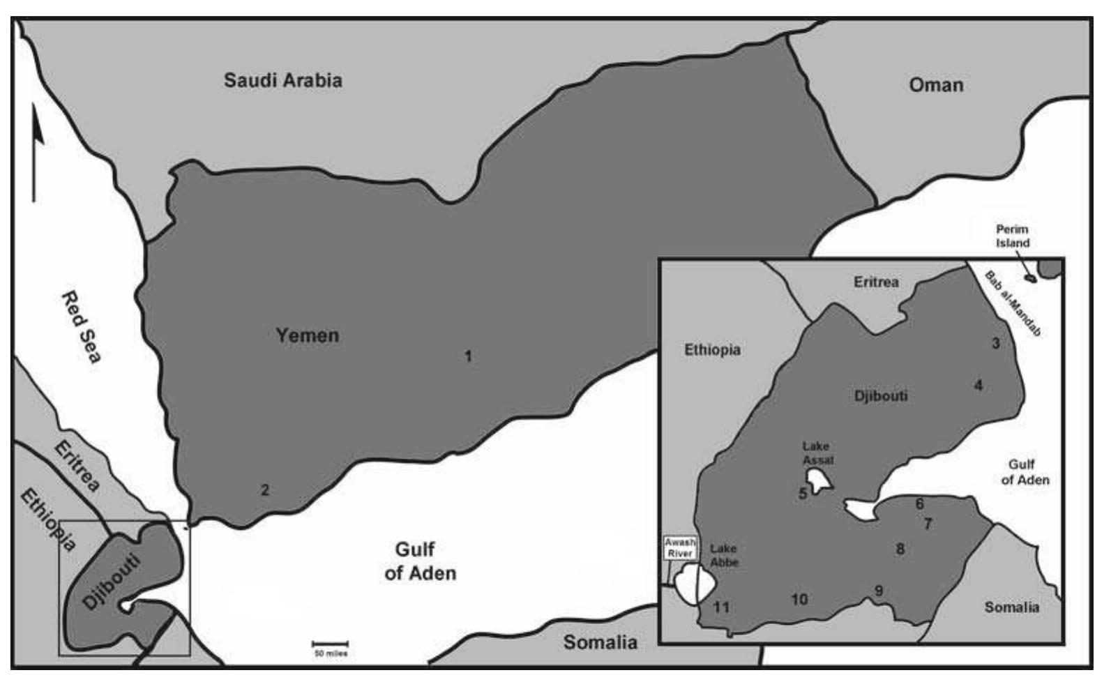 Ficure 5.1. The Bab al-Mandab region. Paleoanthropological sites shown are: 1) Al Guza, 2) Jebel Tala, 3) Goh, 4) As Alé, 5) Sagantole. 6) Oflé, 7) Gombour As, 8) Armakato and Douré, 9) Ali Sabieh, 10) Anabok-koma, 11) Barogali and As Eyla. (Sources: Amirkhanov 1994: Berthelet 2002)  Although the currently available dataset from both sides of the SBM are inadequate (i.e. a lack of absolute dates and the low number of well-excavated sites), itis necessary to highlight the regions and outline some future research goals to increase the resolution of our current state of knowledge and test exist- ing dispersal theories and environmental hypotheses related to human evolution (e.g. deMenocal 2004; Vrba 2007). Indeed, the earliest archaeological records of Djibouti and Yemen may not only have an important bearing on the entire Asian body of evidence, but also on the novel concept of Homo erectus evolving in Asia and subsequently entering Africa (Swisher et al. 1994; Asfaw et al. 2002; Dennell and Roebroeks 2005; Turner and O’Regan 2007). Such types of data sets can also be combined with genetic studies and the archaeological evi- dence to answer similar eco-geographic and contextual ques- tions regarding the subsequent expansion of modern human populations into Eurasia, also presumably across the SBM as  fAltmmougn Current interpretations regarding Carly Numan dispersals appear to be generally convincing, the paleoanthro- pological records of some of the most geographically critical regions are still poorly-understood. Two such regions that require further investigation are the northern regions of Eastern Africa such as Eritrea, Djibouti, and Somalia (WoldeGabriel et al. 2000) and the Arabian Peninsula (Petraglia 2003), par- ticularly the southern portion. Their respective behavioral and paleontological records have significant implications for understanding the timing, context, routes, extents and frequen- cies of early hominin and faunal movements between conti- nents (northern or through central Asia vs. southern or through southern Asia) (Bar-Yosef and Belfer-Cohen 2001; Dennell 2003, 2004). Given its geographic location, the Sinai Peninsula is often assumed to have been the primary migratory corridor between East Africa and West Asia for early hominin move- ment to explain the evidence known from Dmanisi, ‘Ubeidiya and other early sites (e.g. Derricourt 2006). However, no con- vincing paleoanthropological evidence of appropriate age has 