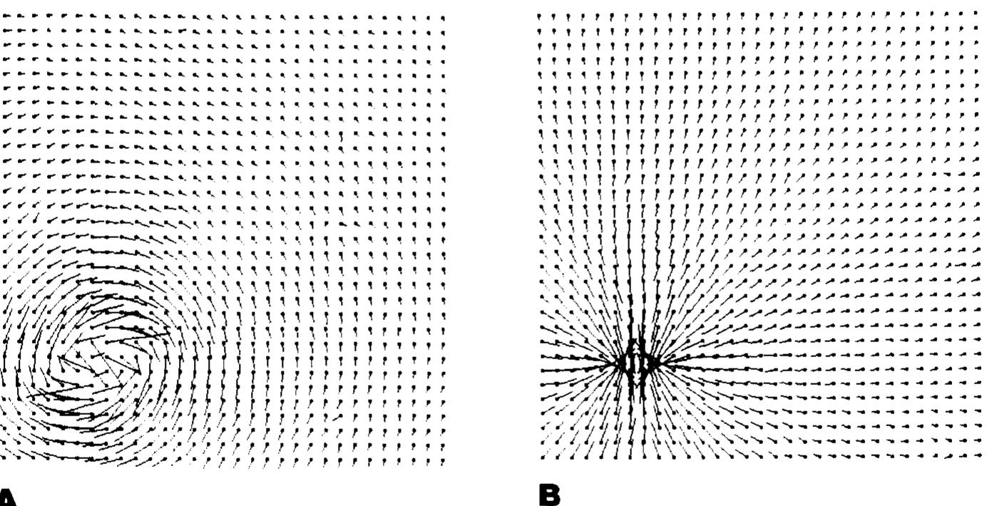 (PDF) Determining optical flow