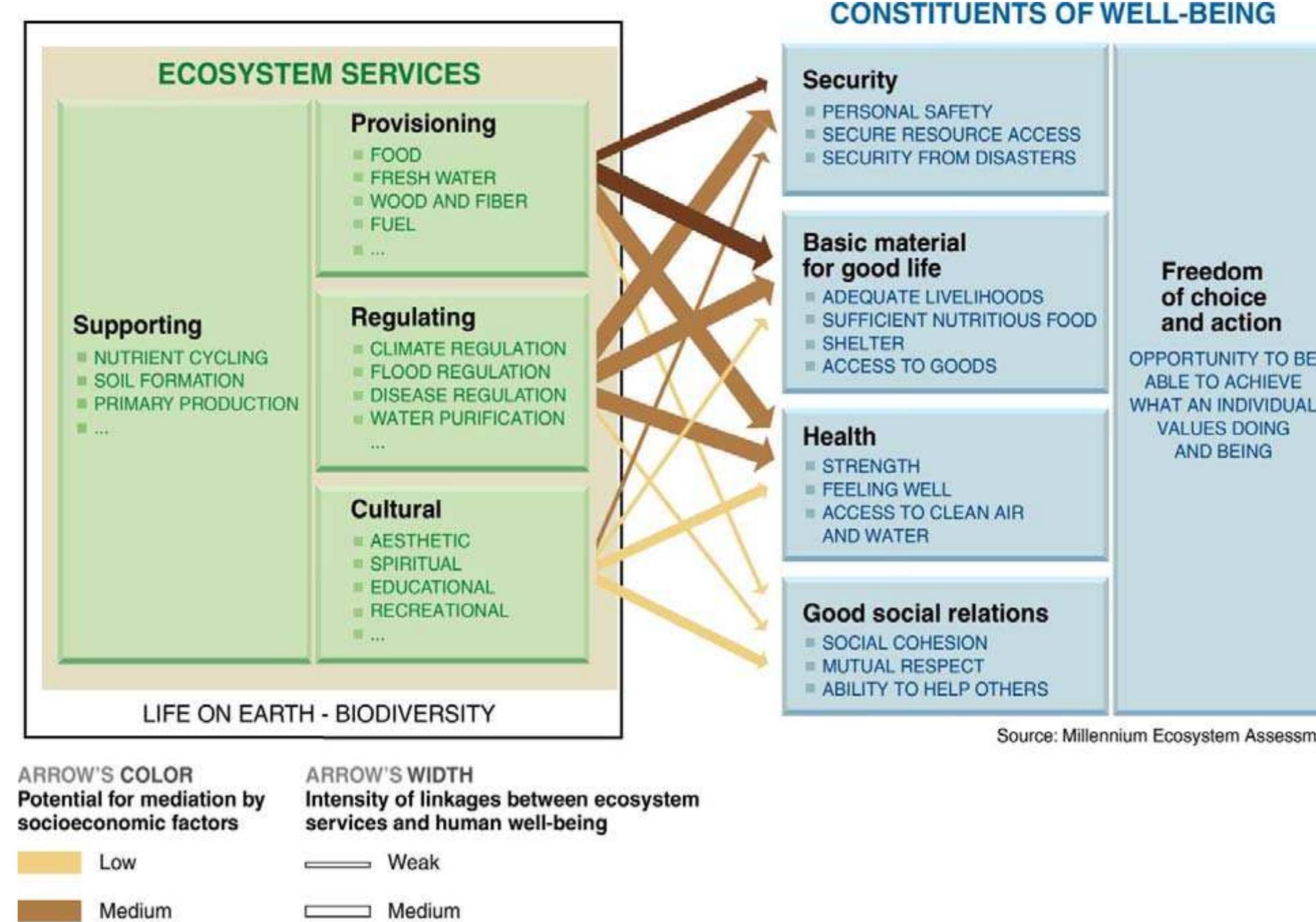 (PDF) Ecosystem services from improved soil and water management ...