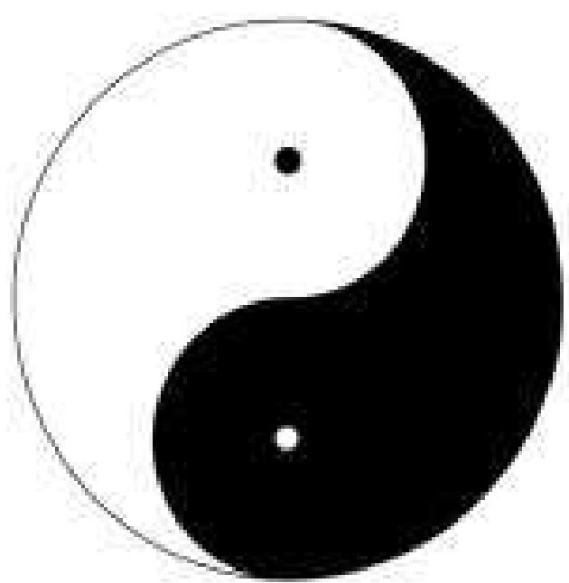 Yin and yang visual data 2