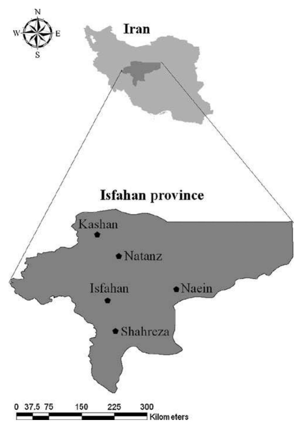 Fig. 1 Location of Isfahan Province and the synoptic stations 