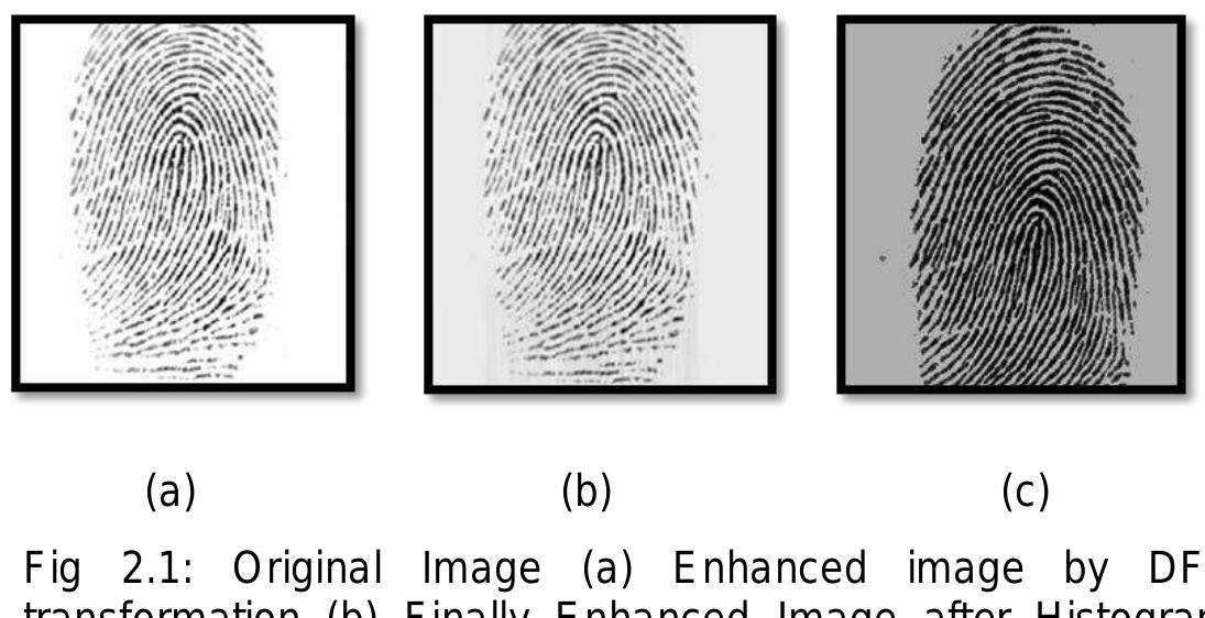 (PDF) Fingerprint Image Enhancement and its Feature Extraction for ...
