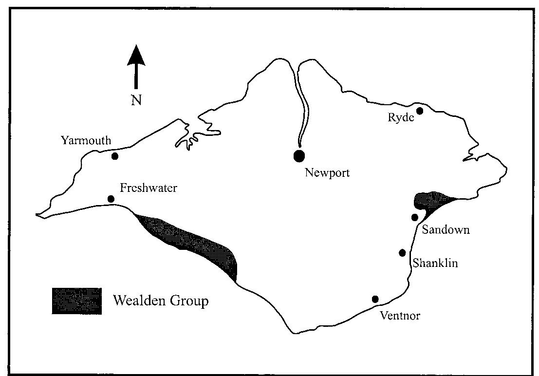 (PDF) A reappraisal of Thecocoelurus daviesi (Dinosauria: Theropoda ...