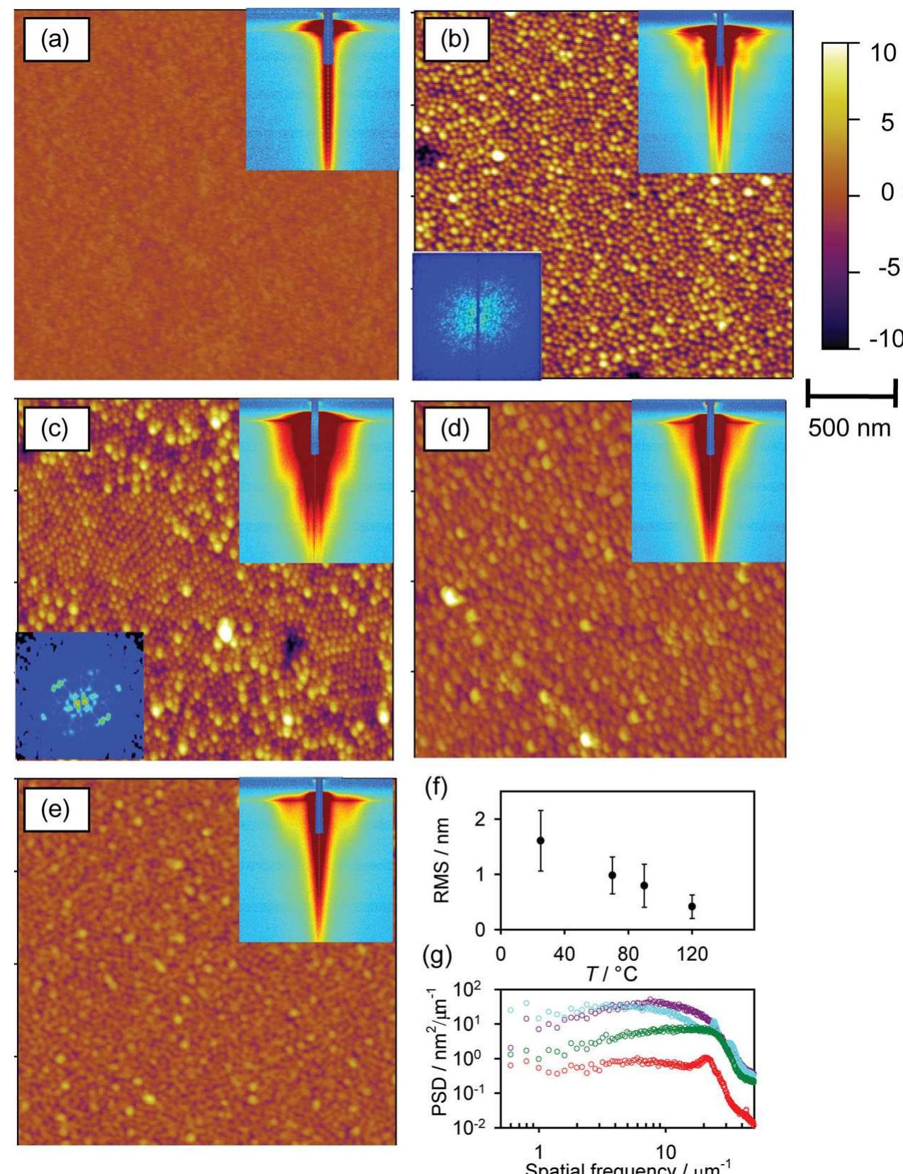 A—e) afm images showing the topology of the model, rough