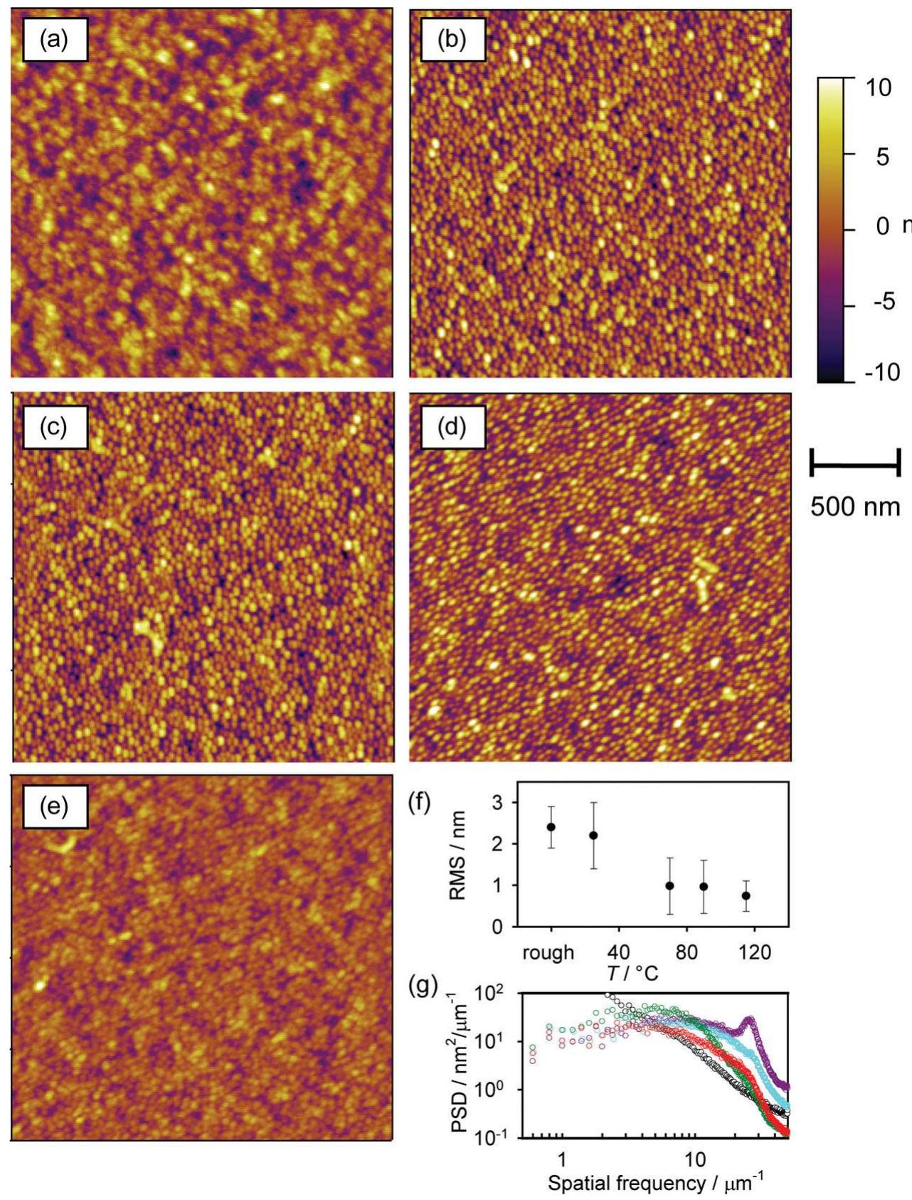 A—e) afm images showing the topology of the model, rough