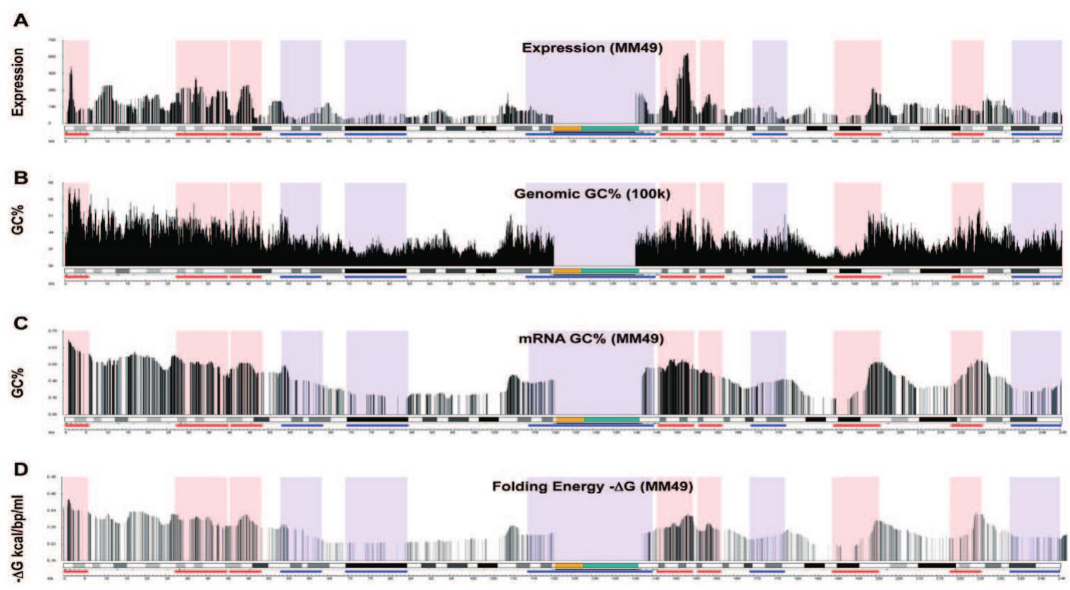 (a) transcriptome map of human chromosome 1 for expression.