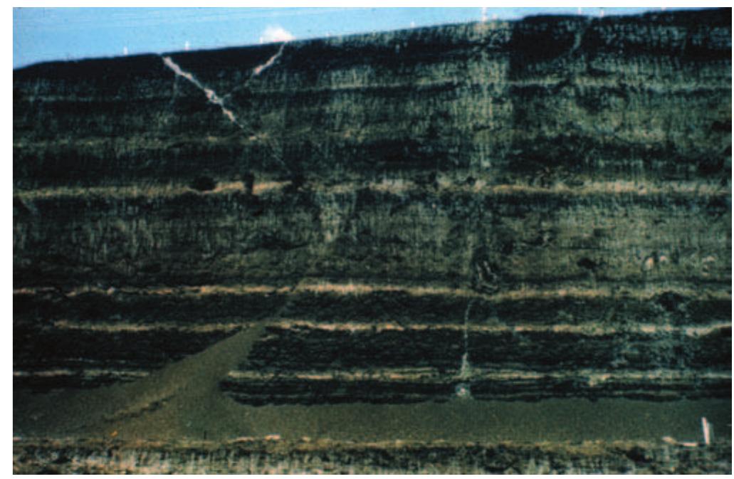 PDF) Geology of Victoria